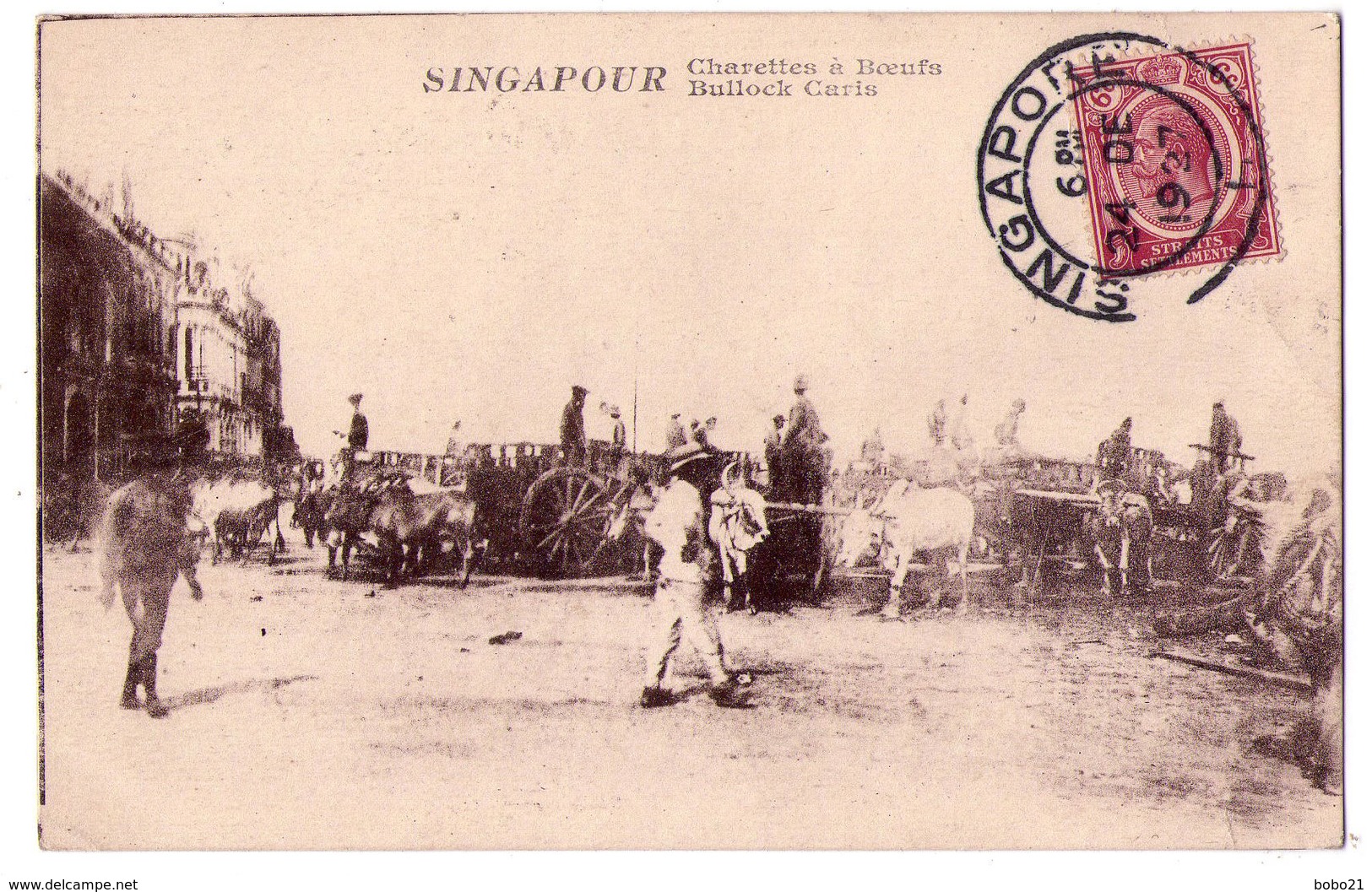 6533 - Singapour - Charettes à Boeufs - - Singapour
