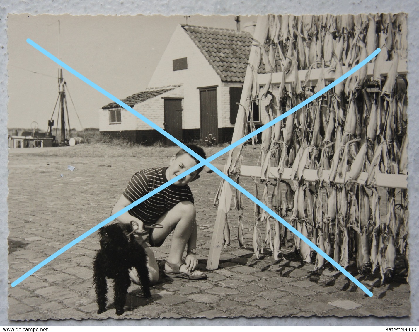 Photo NIEUWPOORT 1962 Oude Huis Kust Côte Belgïe Vis Poisson Pêche Visser - Plaatsen