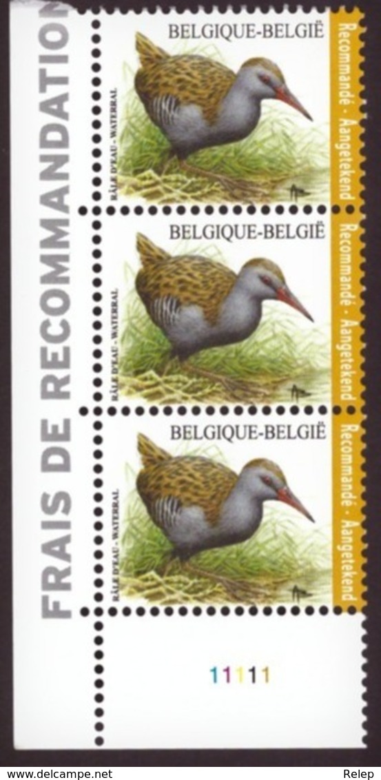 Belgique -  2017 Birds - Rallus Aquaticus - MNH - € 24.00  Stamp For Registered Letter. - Nuevos