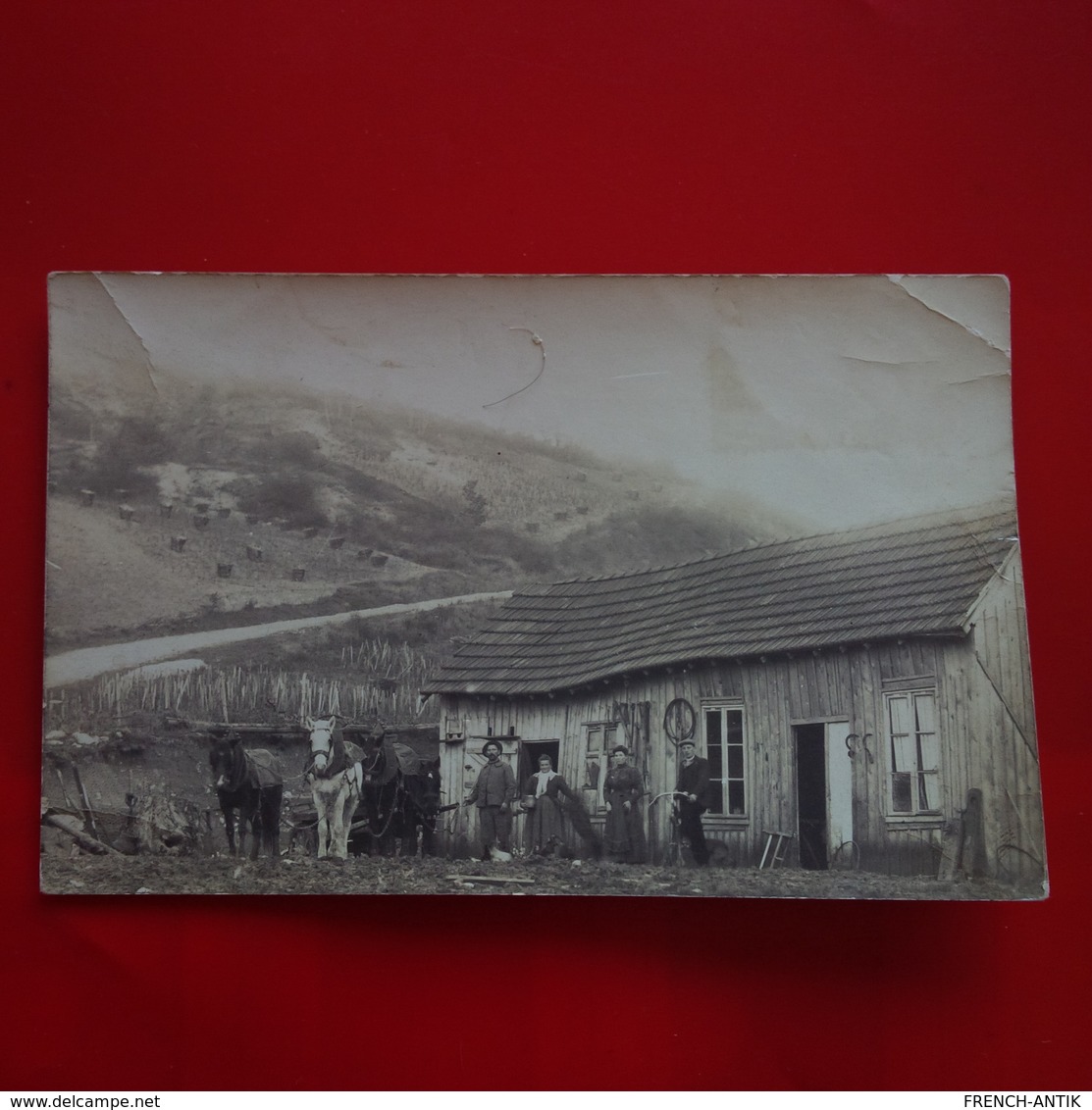 CARTE PHOTO PAYSAN FERME ATTELAGE LIEU A IDENTIFIER - Farmers