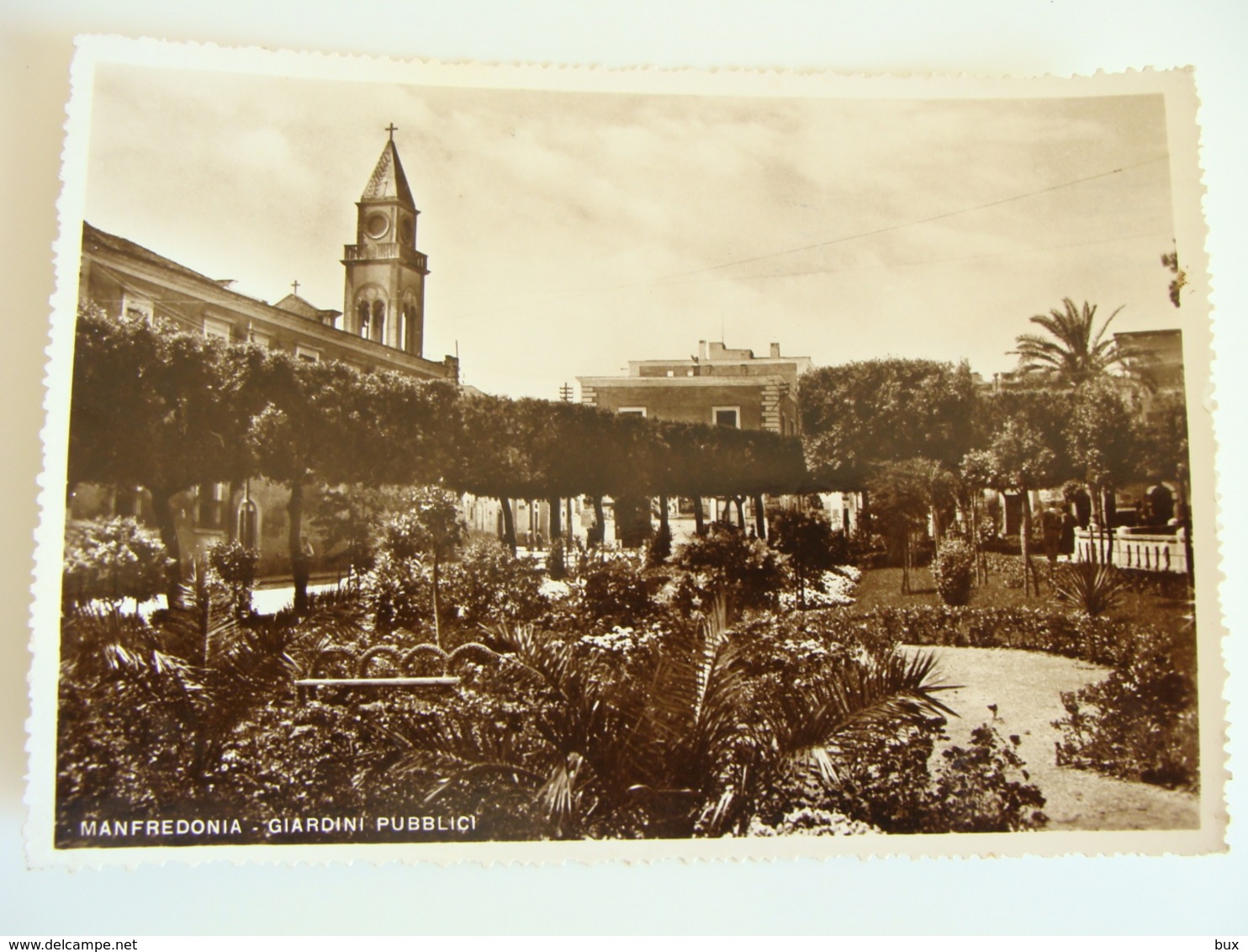 MANFREDONIA   GIARDINI  PUBBLICI   FOGGIA   PUGLIA  VIAGGIATA    COME DA FOTO  IMMAGINE LUCIDA - Manfredonia