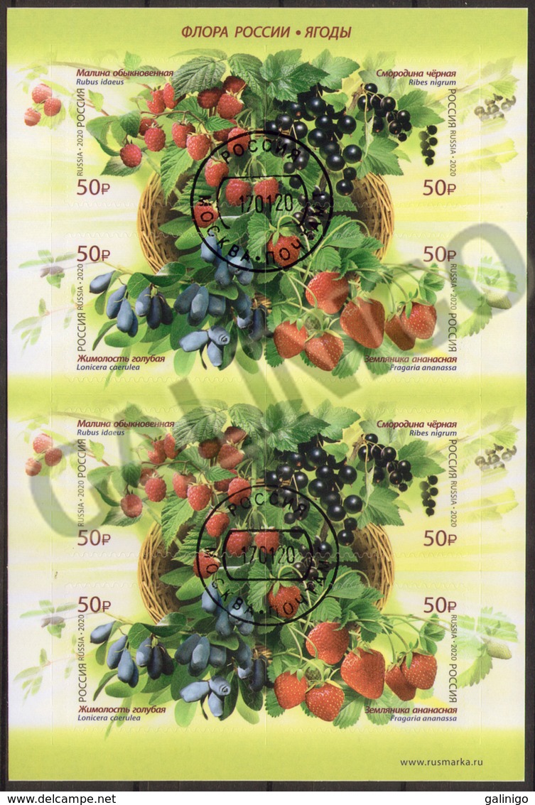 2020-2585-2588 Russia  M/S  Flora Of Russia. Berries Used CTO - Oblitérés