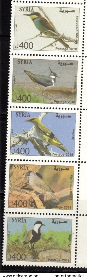 BIRDS, 2018, MNH, FAUNA, 5v - Altri & Non Classificati