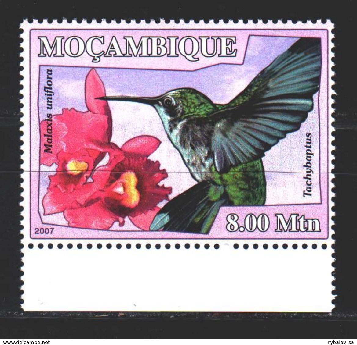 Mozambique. 2007. 3005 From The Series. Birds, Flowers. MNH. - Mosambik