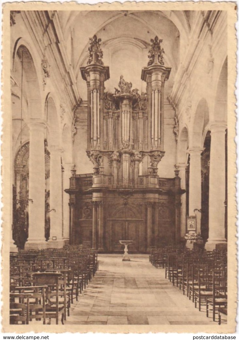 Ninove - Parochiale Kerk - Groot Orgel - & Orgel, Organ, Orgue - Ninove