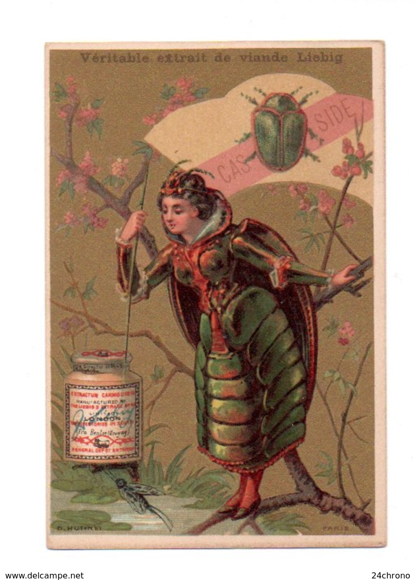 Chromo Liebig: D. Hutinet, Jeune Femme, Insecte, Casside (20-329) - Liebig