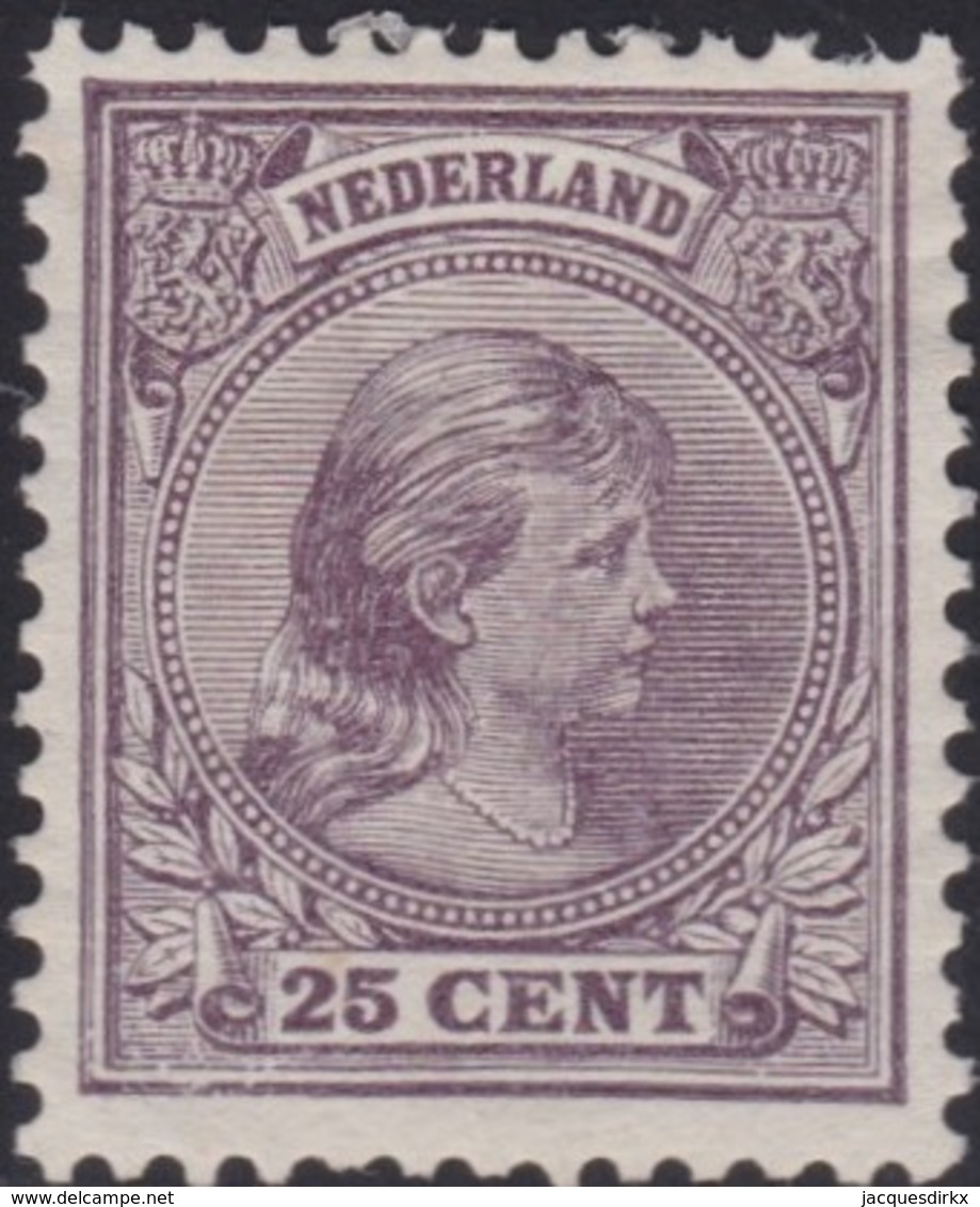 Nederland       .  NVPH  42    .    (2 Scans)     .   *     .   Ongebruikt Met Plakker   .    /    .   Mint-hinged - Ongebruikt