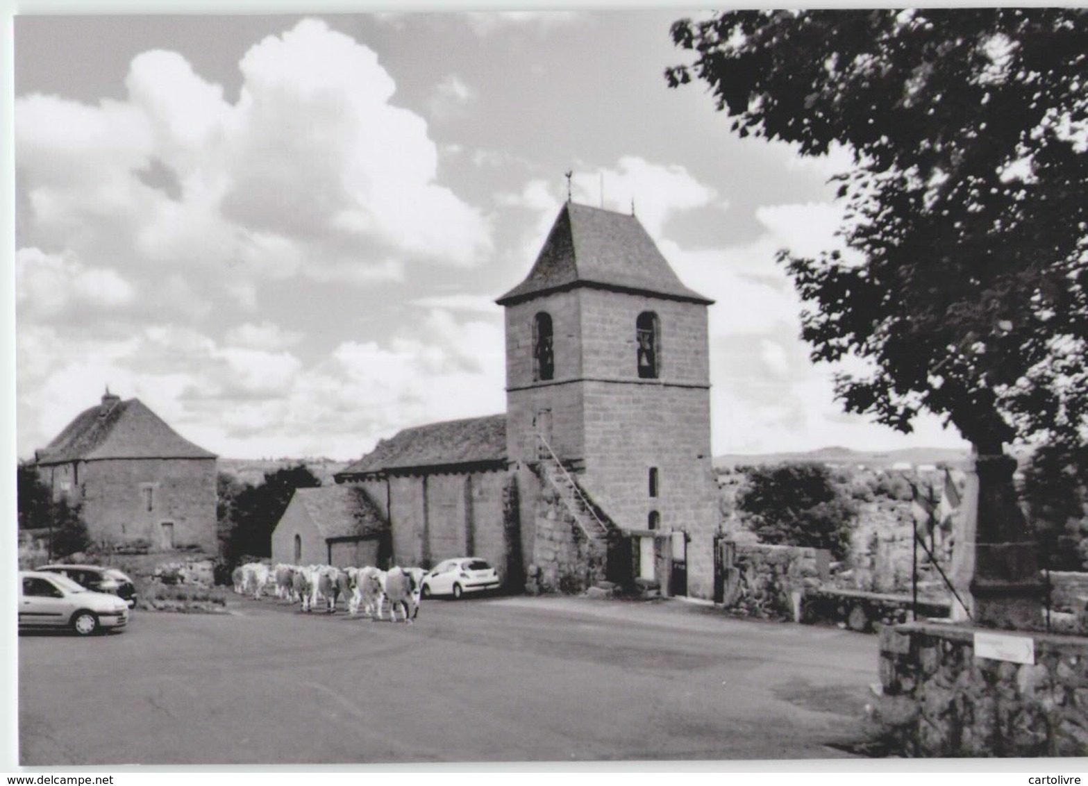 CPM 48 RECOULES D'AUBRAC ... Place De L'Eglise (Livenais 030814) Vaches - Other & Unclassified