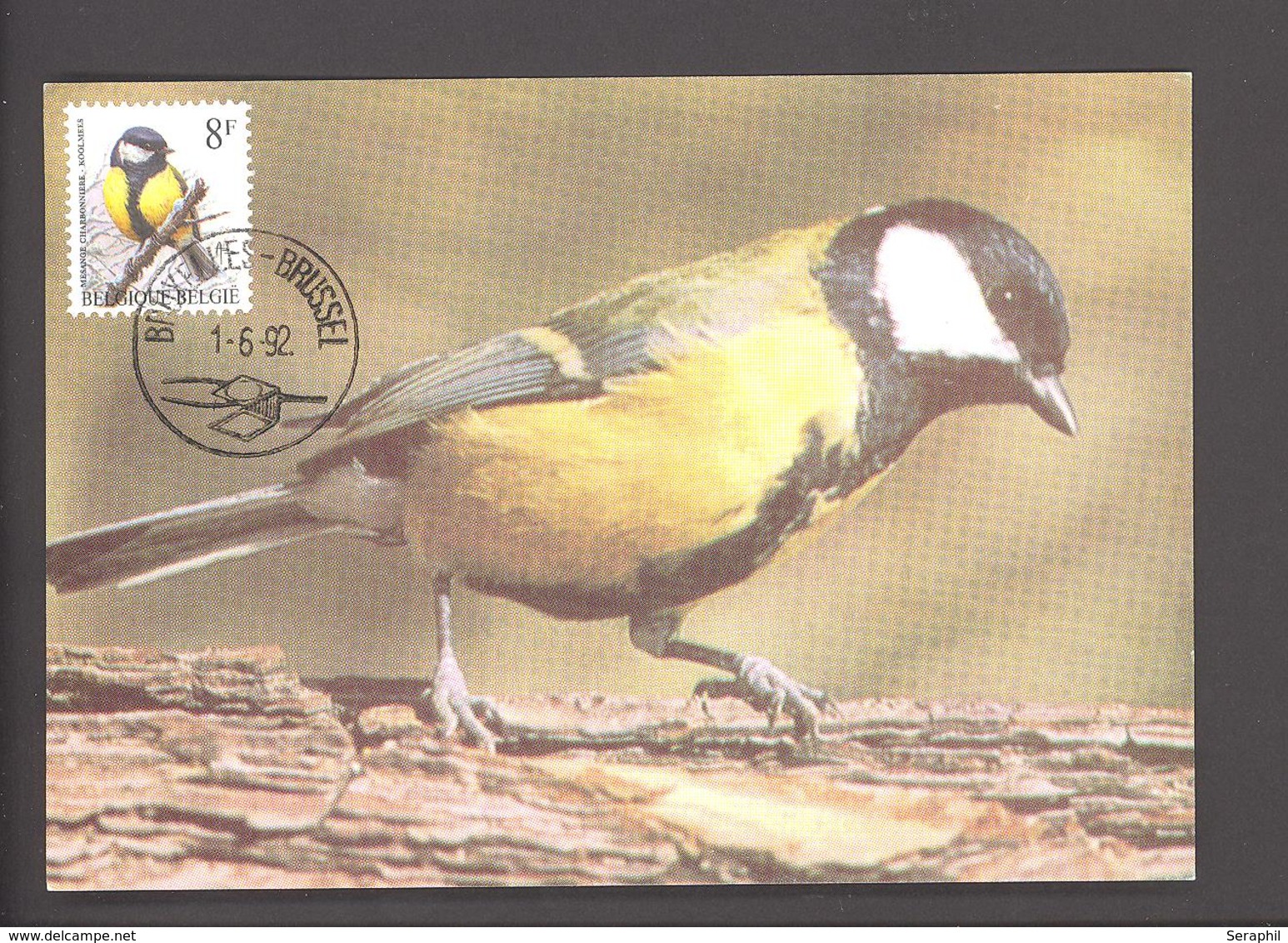 Carte Maximum - FDC - Oiseaux De Buzin - Mésange Charbonnière  - Timbre N° 2460 - 1985-.. Uccelli (Buzin)