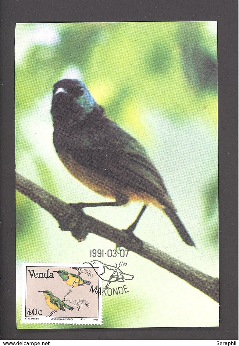 Carte Maximum Venda -  Oiseaux - Collared Sunbird / Anthreptes Collaris - Timbre N°219 (Yvert & Tellier) - Venda