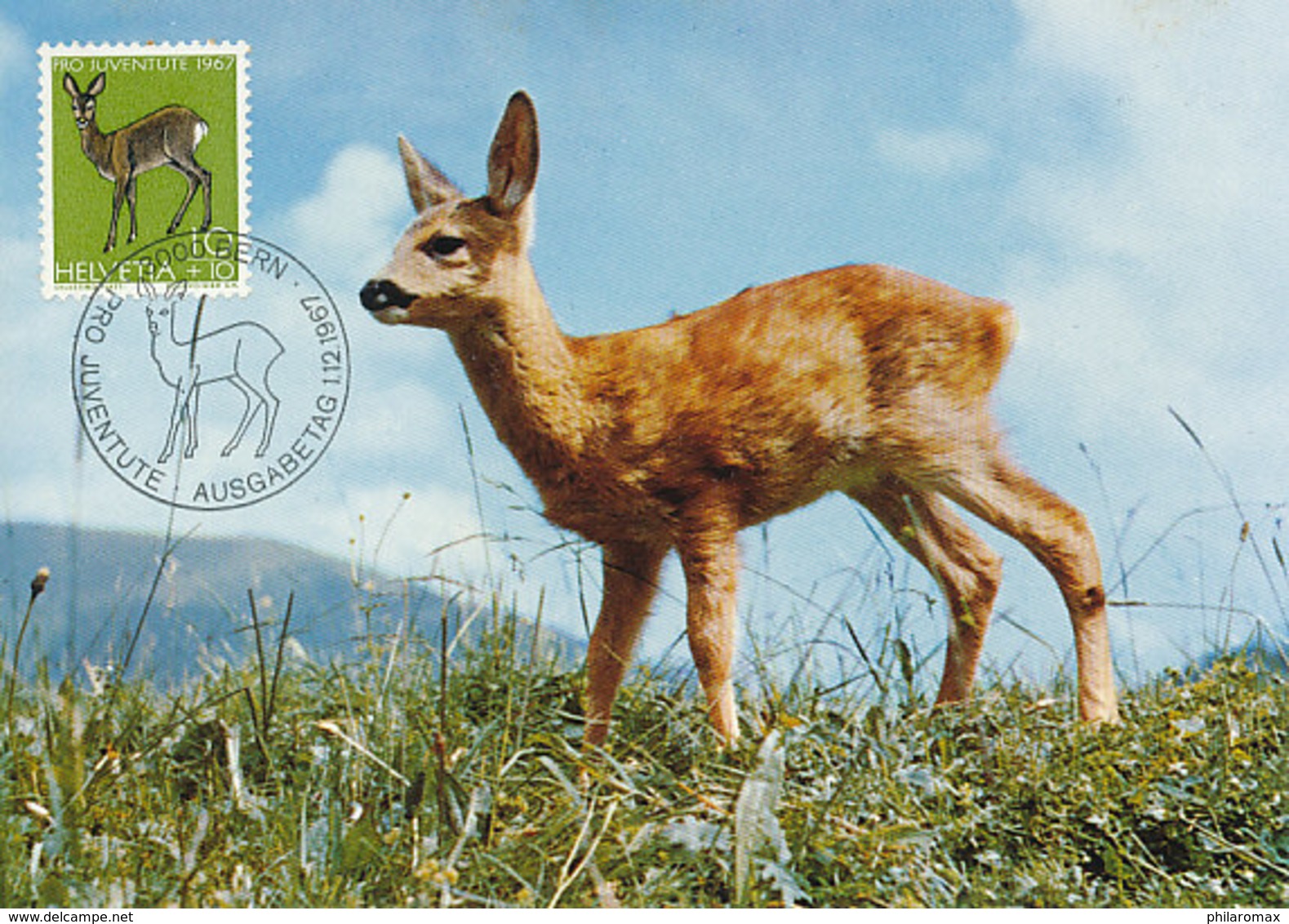 D38791 CARTE MAXIMUM CARD TRIPLE 1967 SWITZERLAND - DEER CP ORIGINAL - Maximumkaarten