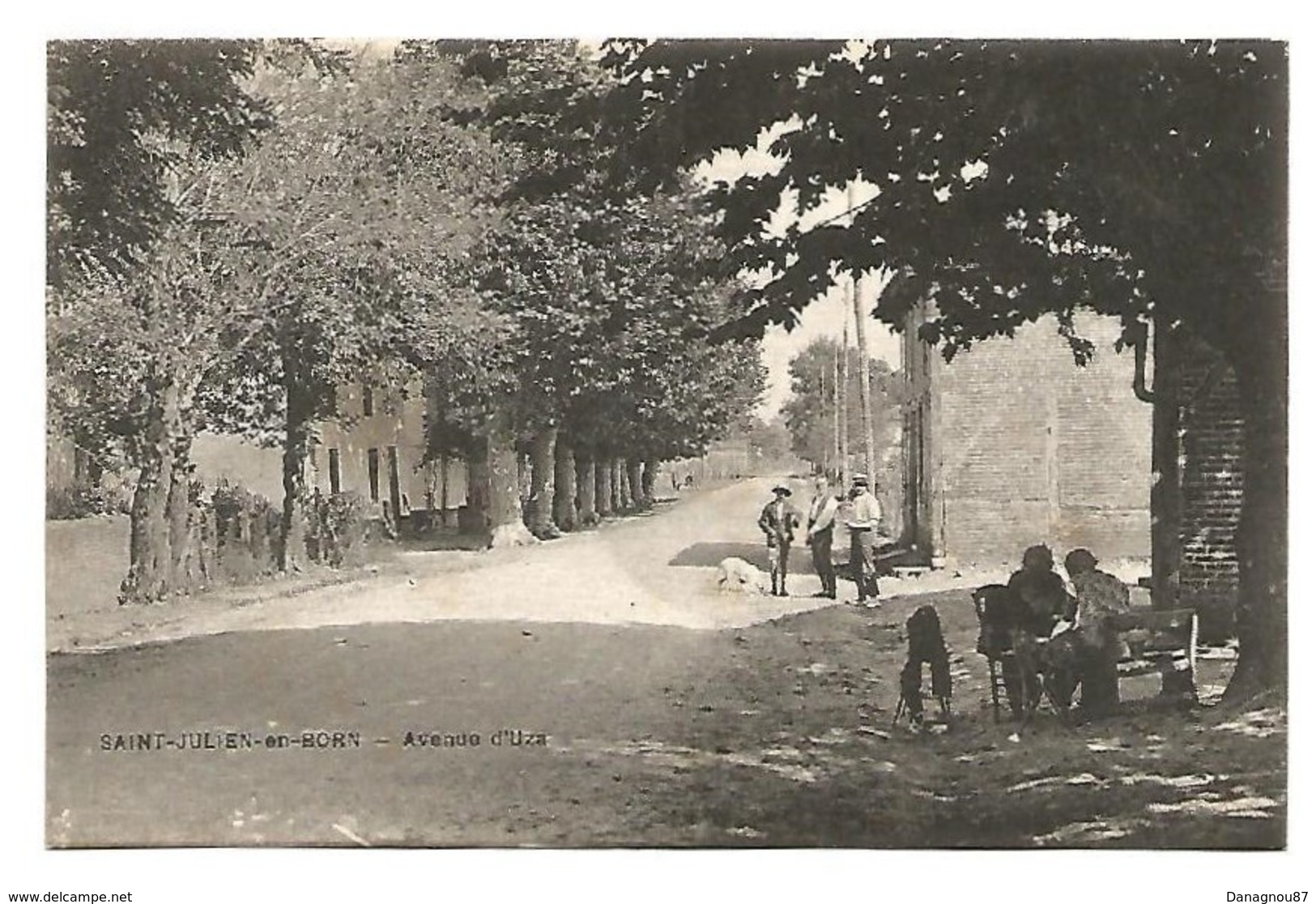 Saint-Julien-en-Born - Avenue D'Uza - Autres & Non Classés