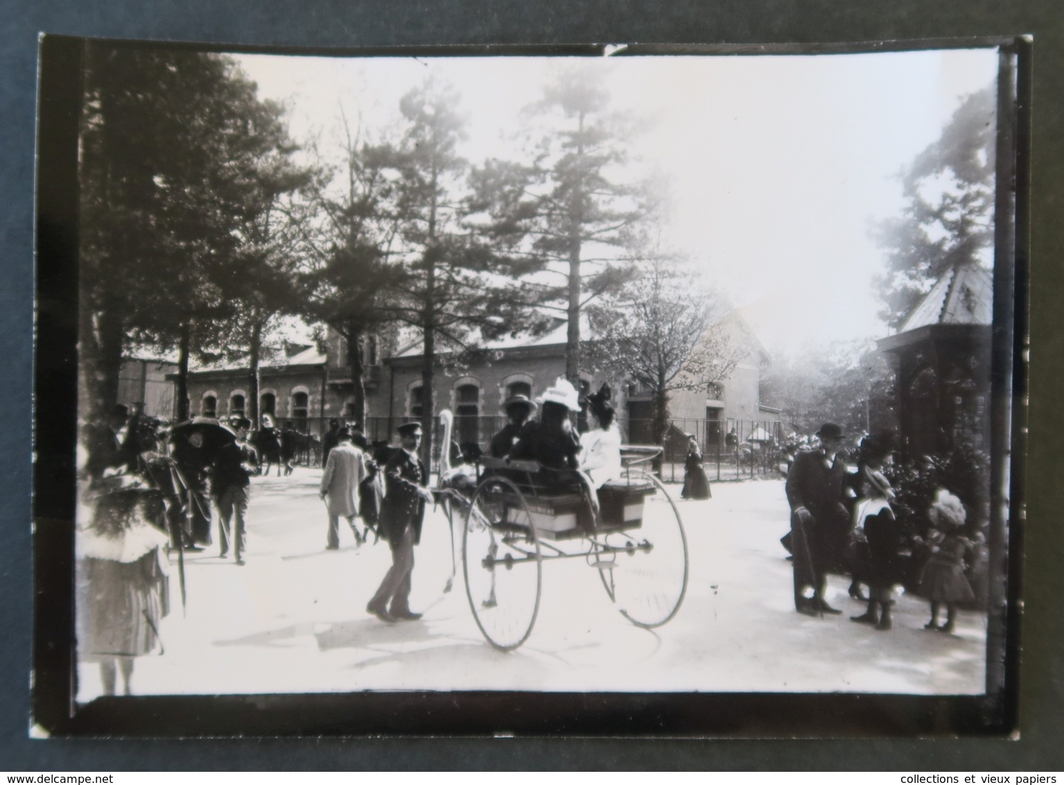 PARIS - Voiture à Autruche Attelage Jardin Zoologique D'Acclimatation - Photo Circa 1910 - Parcs, Jardins