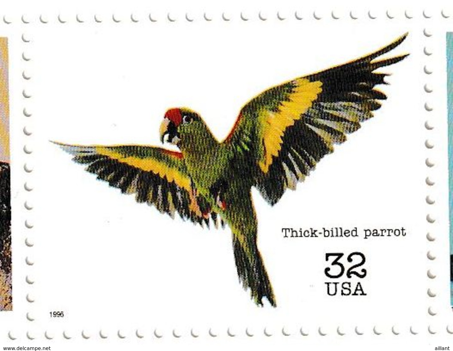 Etats-Unis. U.S.A. 1995;  Conure à Gros Bec;  Thick-billed Parrot - Papagayos