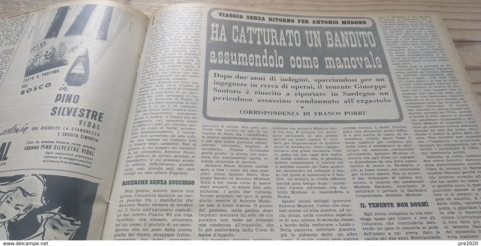 SETTIMANA INCOM 1954 PINOCCHIO ANCONA FRANCESCO BORRELLO EROE BATTIPAGLIA AVENZA GALTELLI' BITONTO