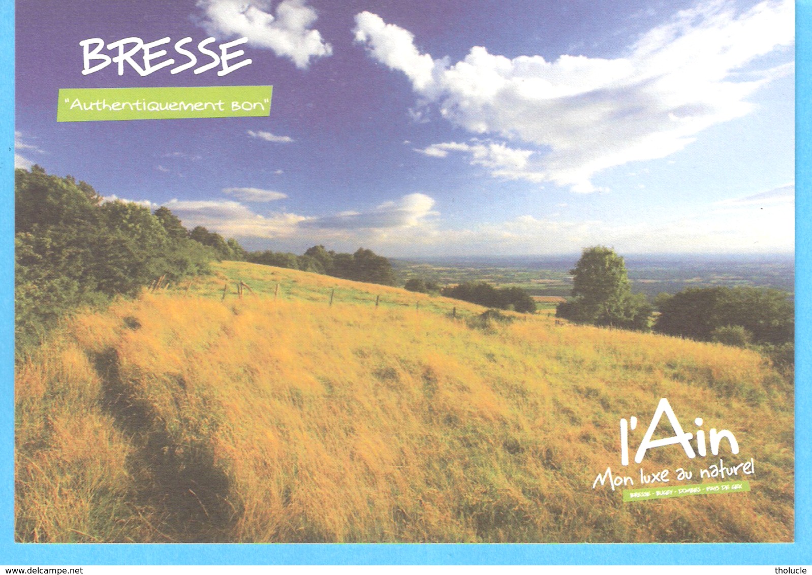 L'Ain-Bresse-Mon Luxe Au Naturel-Ligne D'horizon Depuis Le Mont-Myon (Revermont) - Non Classés