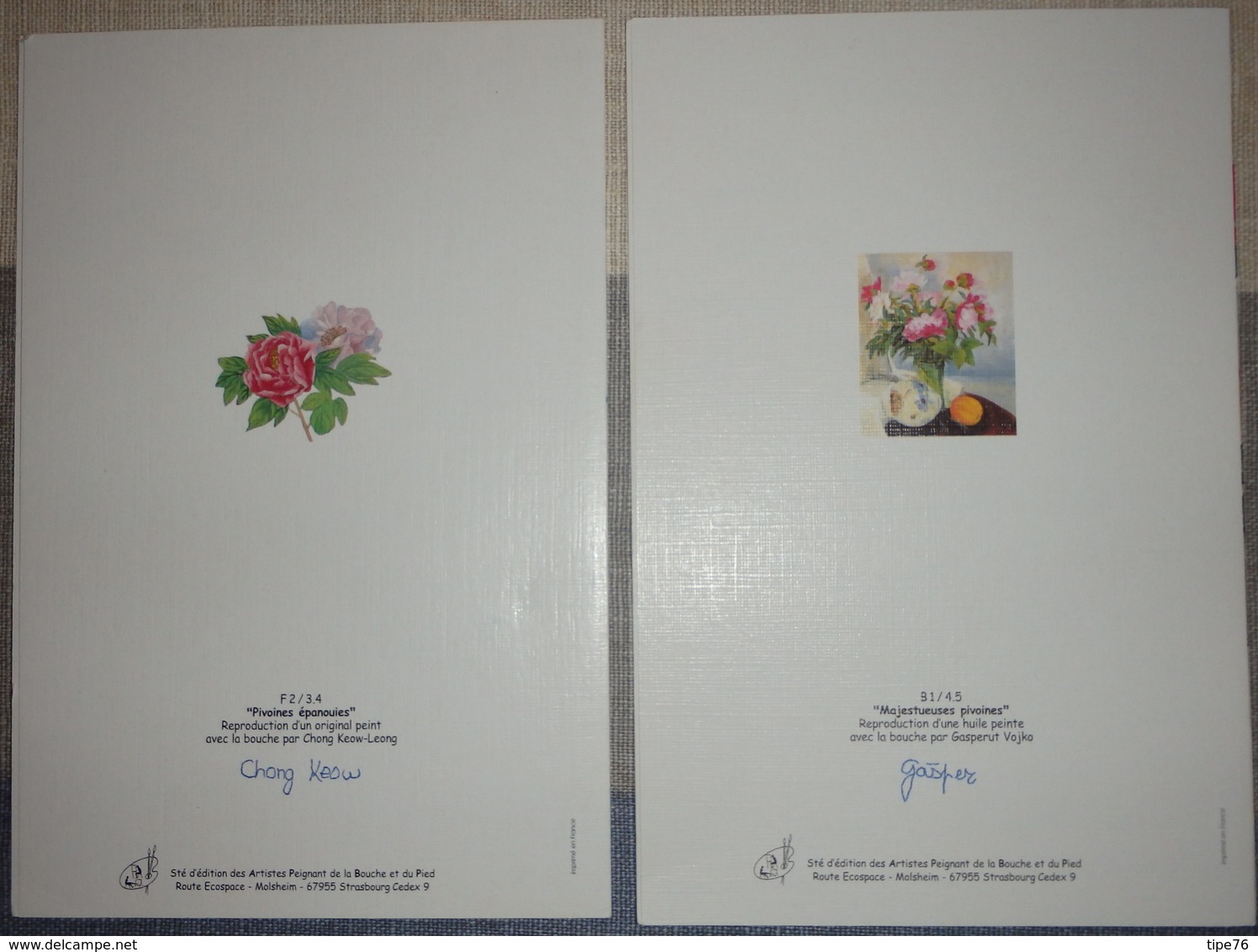 2 Cartes Fantaisie Pivoines épanouies Et Majestueuses Pivoines  APBP - Autres & Non Classés