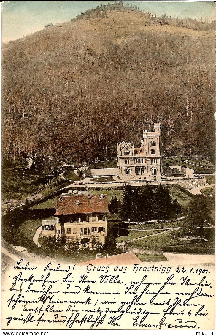 Hrastnik, Gruss Aus Hrastnigg, Potovala 1901, Vila De Seppi - Slowenien