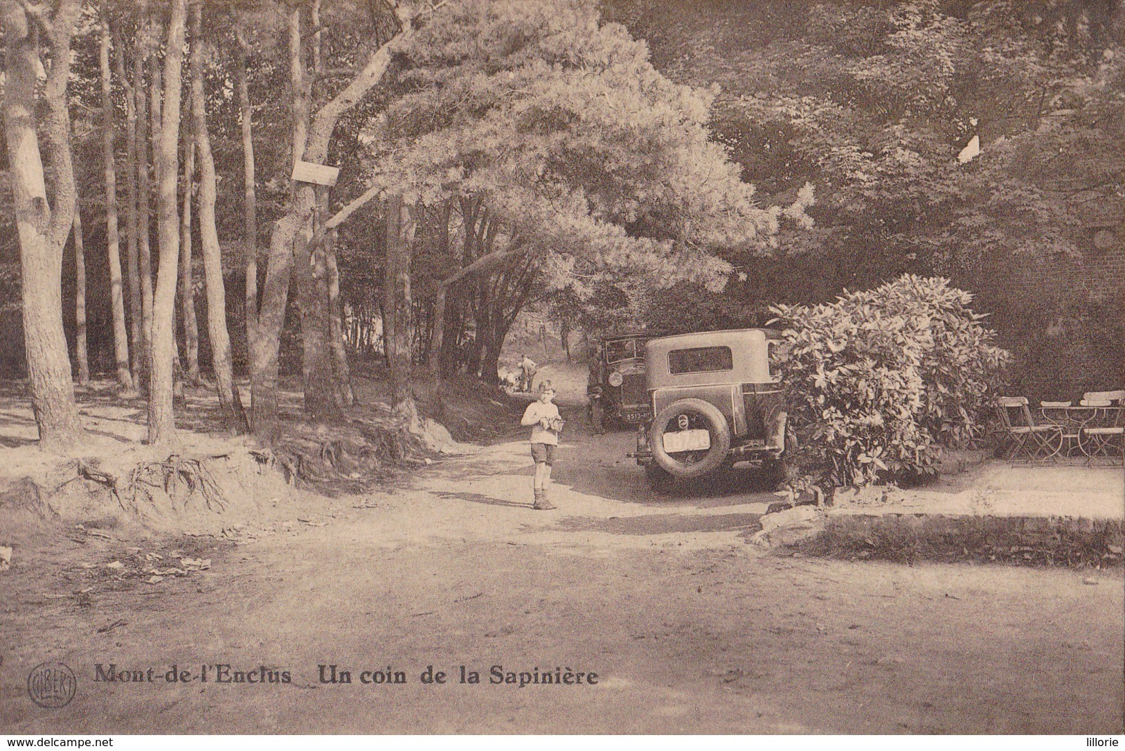 Mont-de-l'Enclus Un Coin De La Sapinière - Mont-de-l'Enclus