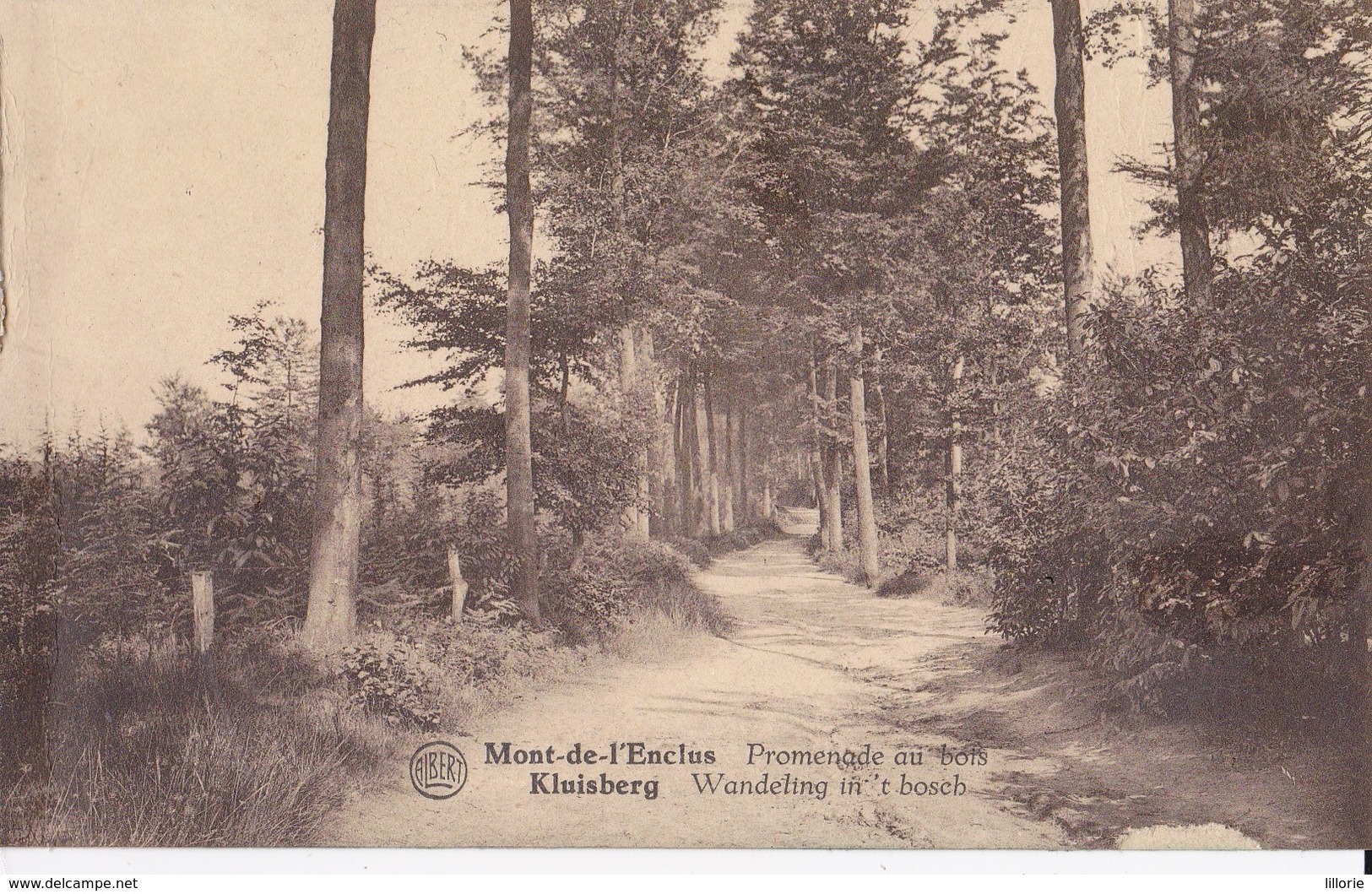 Mont-de-l'Enclus Kluisberg Promenade Au Bois - Kluisbergen