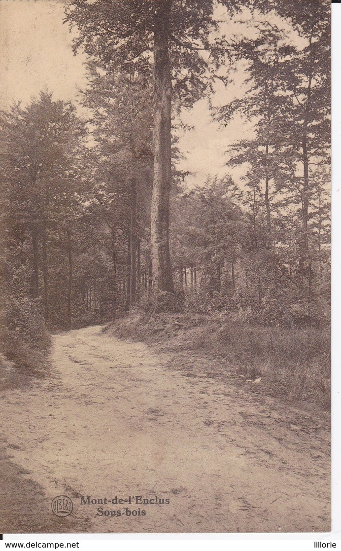 Mont-de-l'Enclus Sous Bois - Kluisbergen