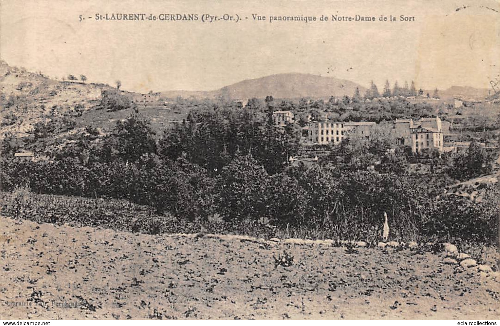 Saint Laurent De Cerdans        66       Vue Panoramique          (voir Scan) - Otros & Sin Clasificación