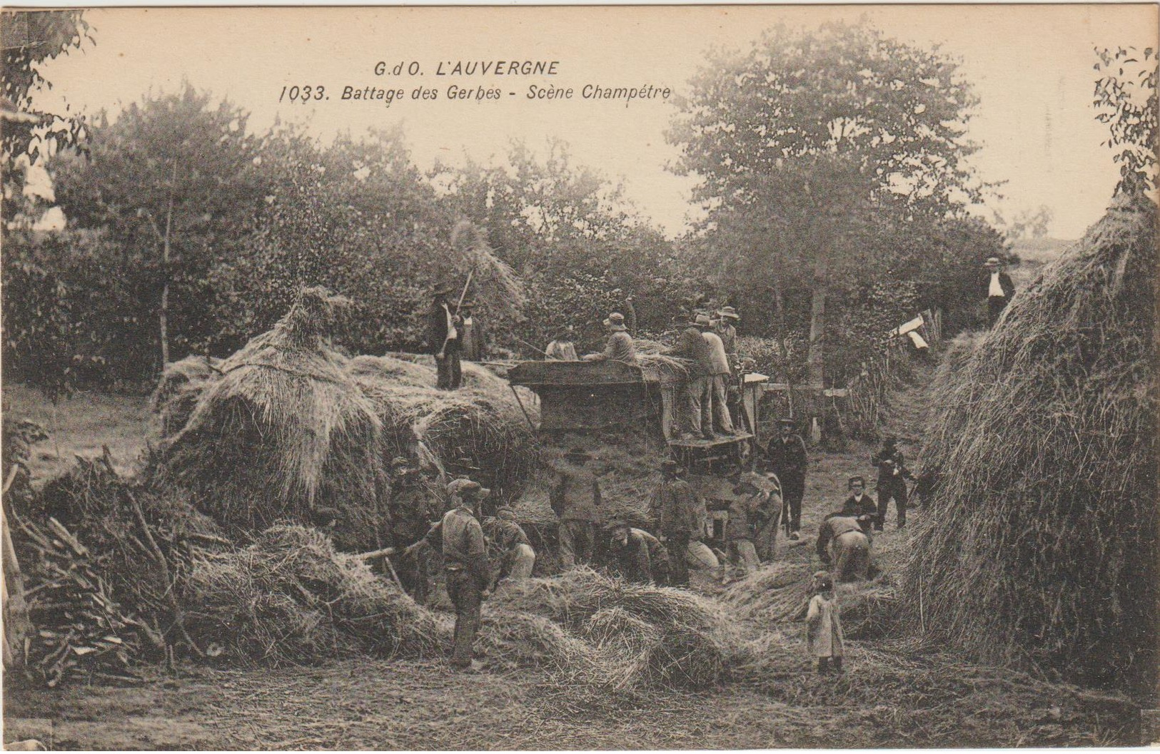 CPA  63  L AUVERGNE BATTAGE DES GERBES  MOISSONNEUSE BATTEUSE - Auvergne Types D'Auvergne