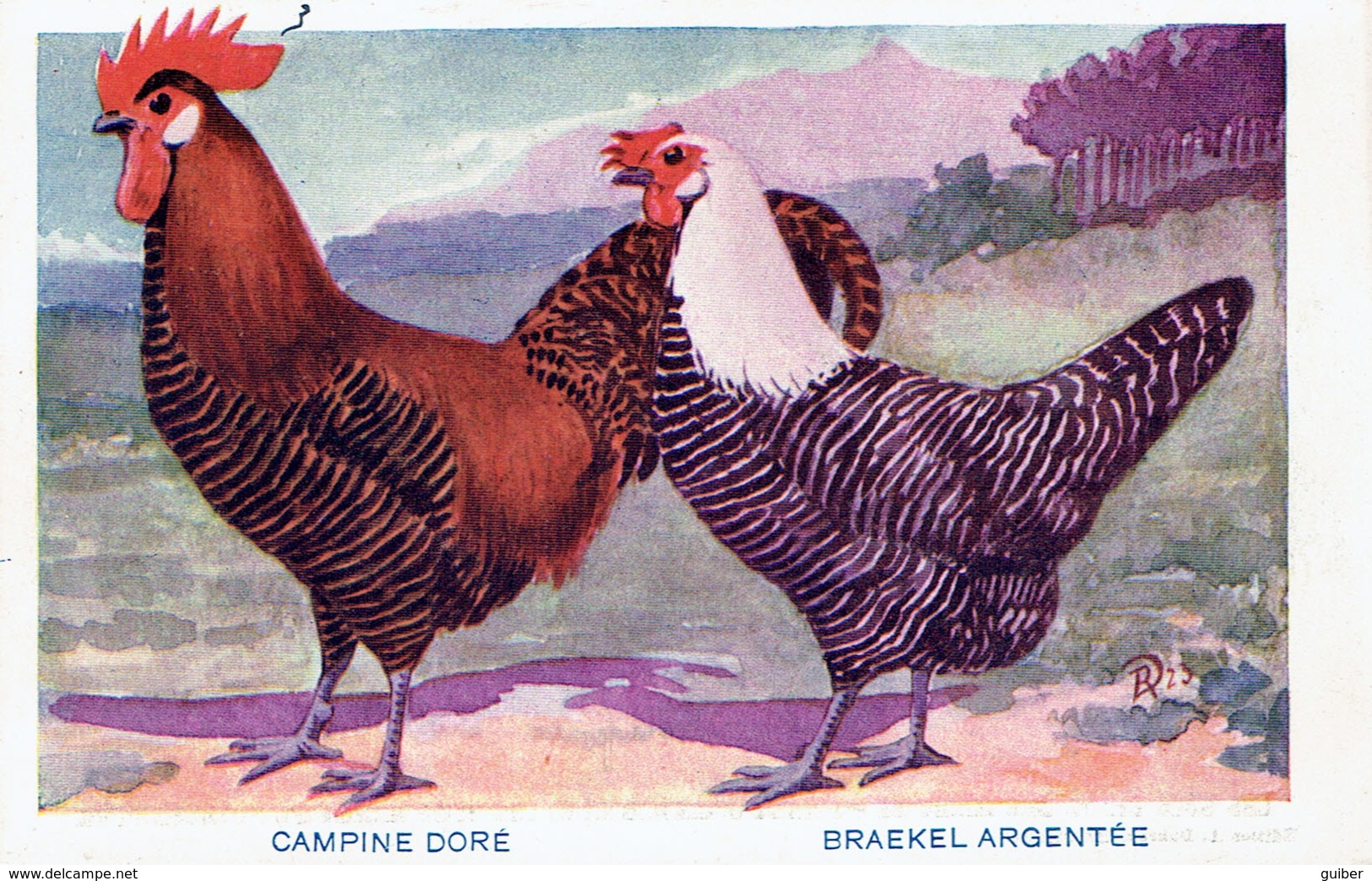 Publicité Sulfate D'amoniaque Campine Doré Brackel Argentée Poule Et Coq   Selection Gembloux - Advertising