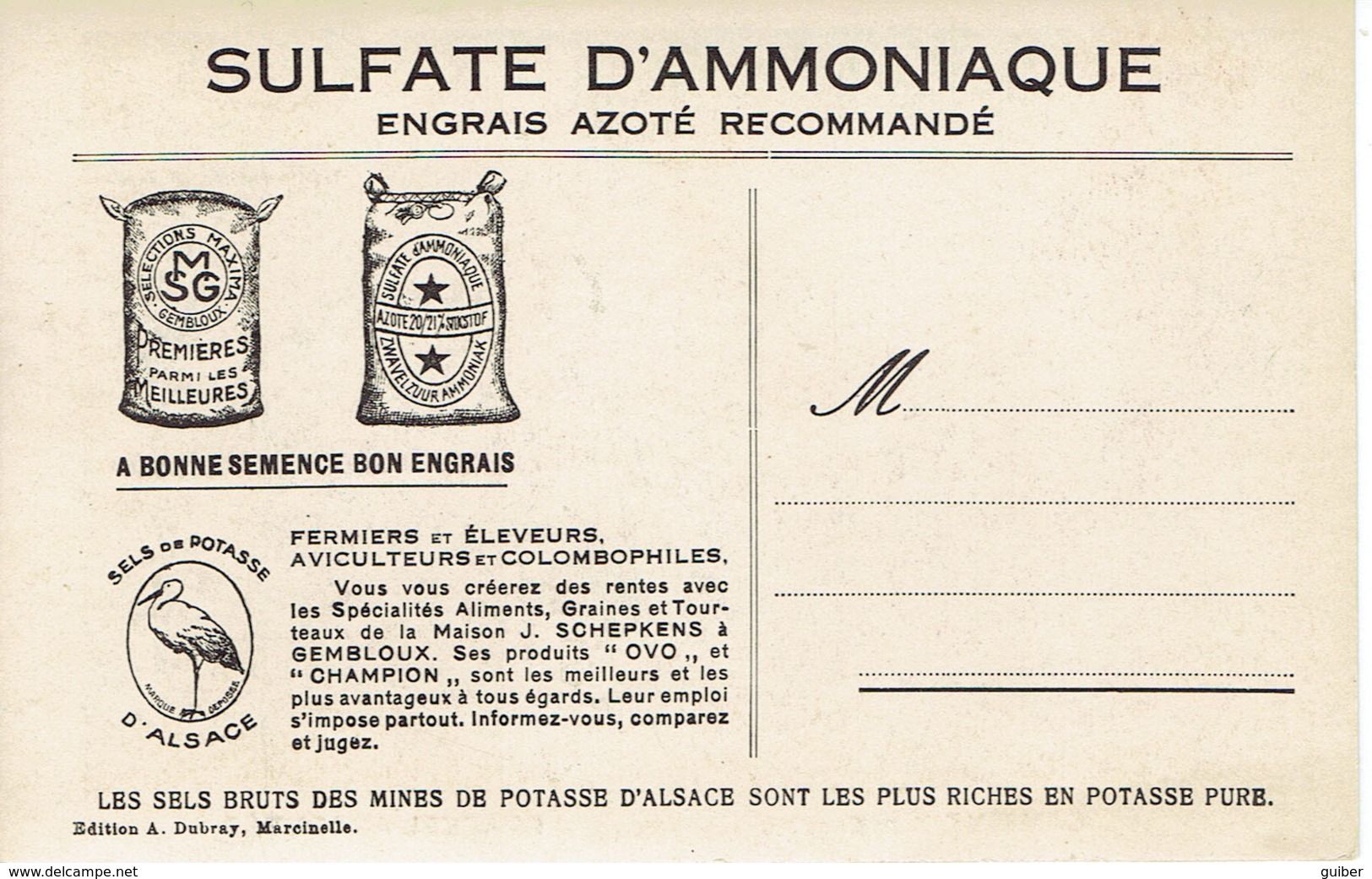Publicité Sulfate D'amoniaque Campine Doré Brackel Argentée Poule Et Coq   Selection Gembloux - Advertising