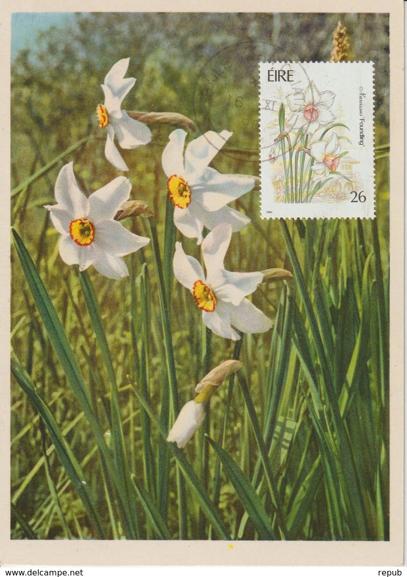 Irlande Carte Maximum Fleurs 1990 Narcisses 732 - Maximumkaarten