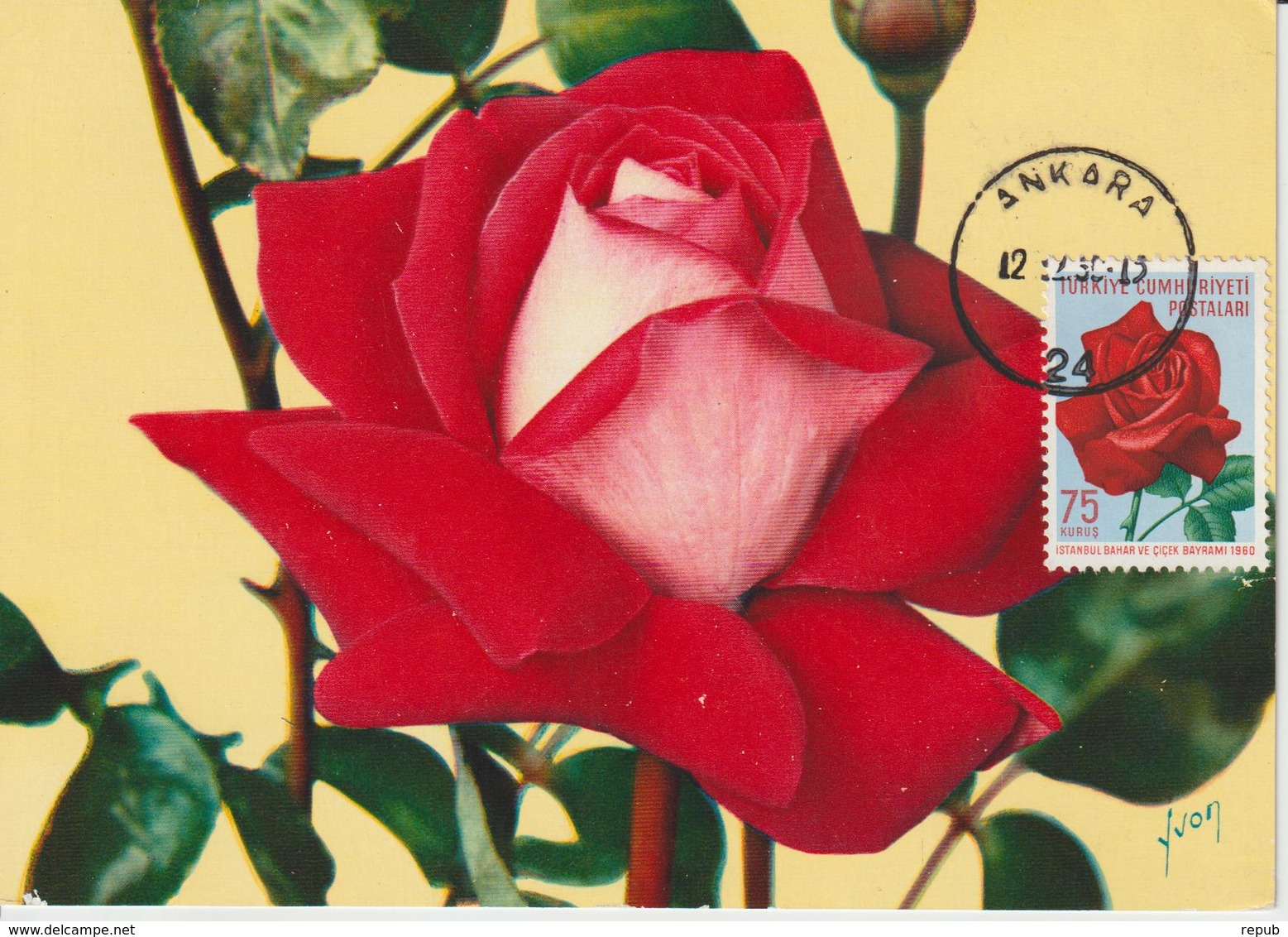 Turquie Carte Maximum Fleurs 1960 Rose 1530 - Cartes-maximum