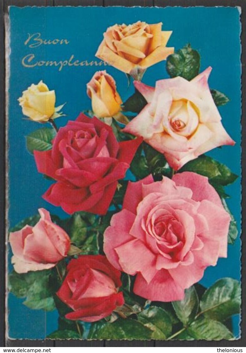 * Cartolina - Buon Compleanno - Viaggiata 1963 - Fiori