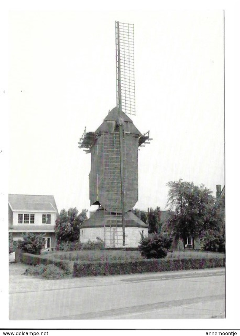 Aartselaar - Molen. - Aartselaar