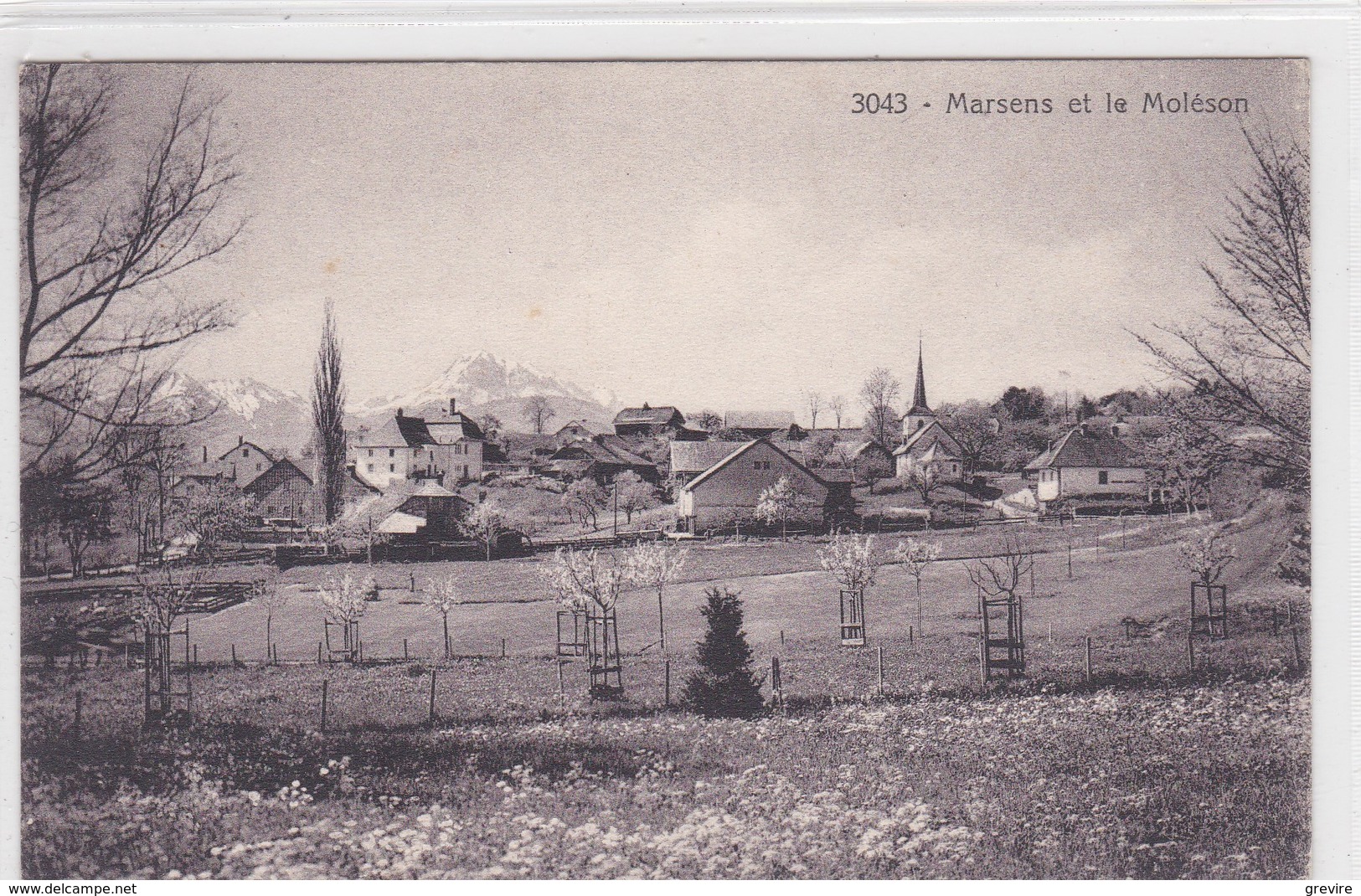 Marsens, Vue Partielle En Direction Du Moléson - Marsens