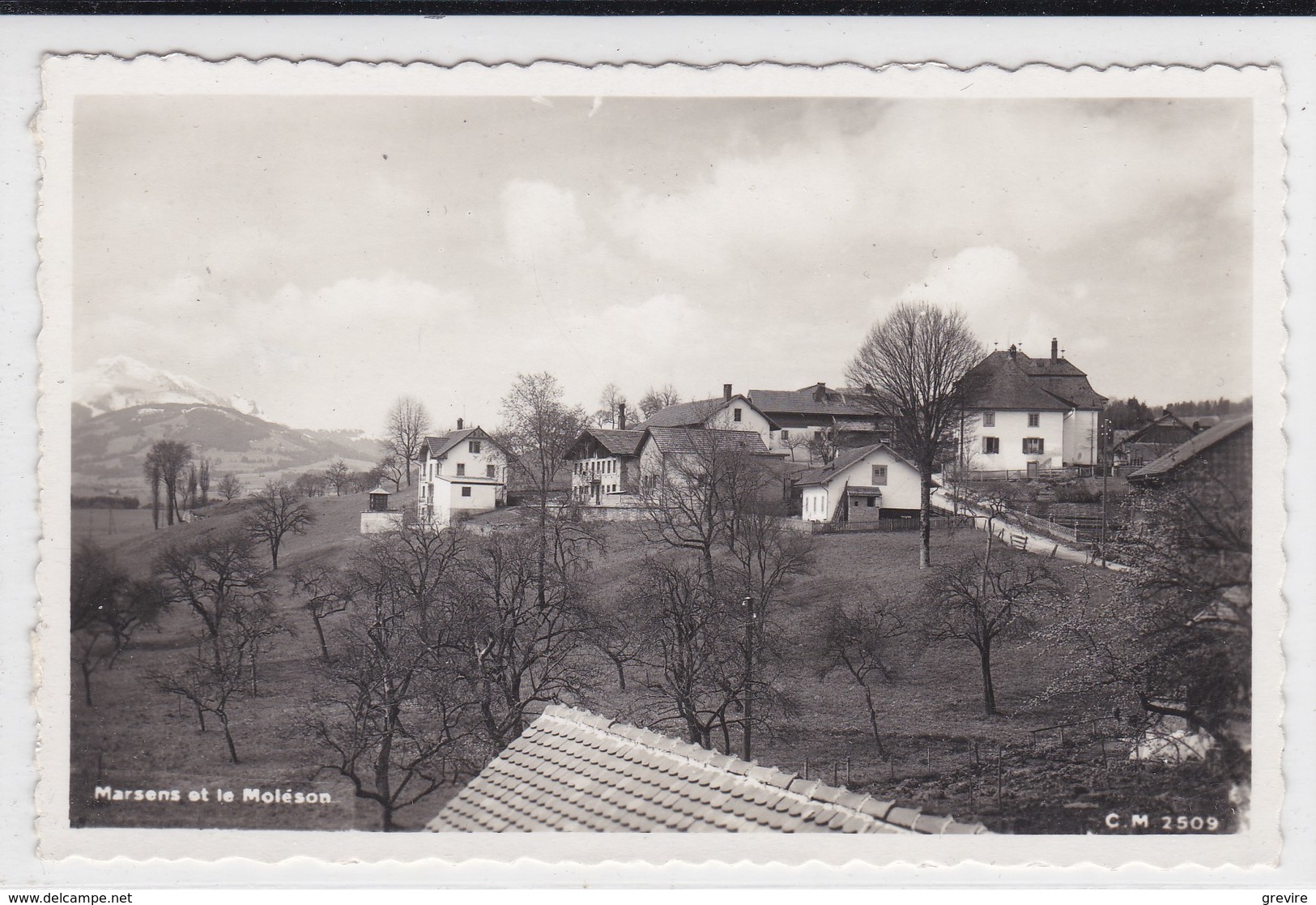 Marsens, Vue Partielle En Direction Du Moléson, Carte-photo - Marsens