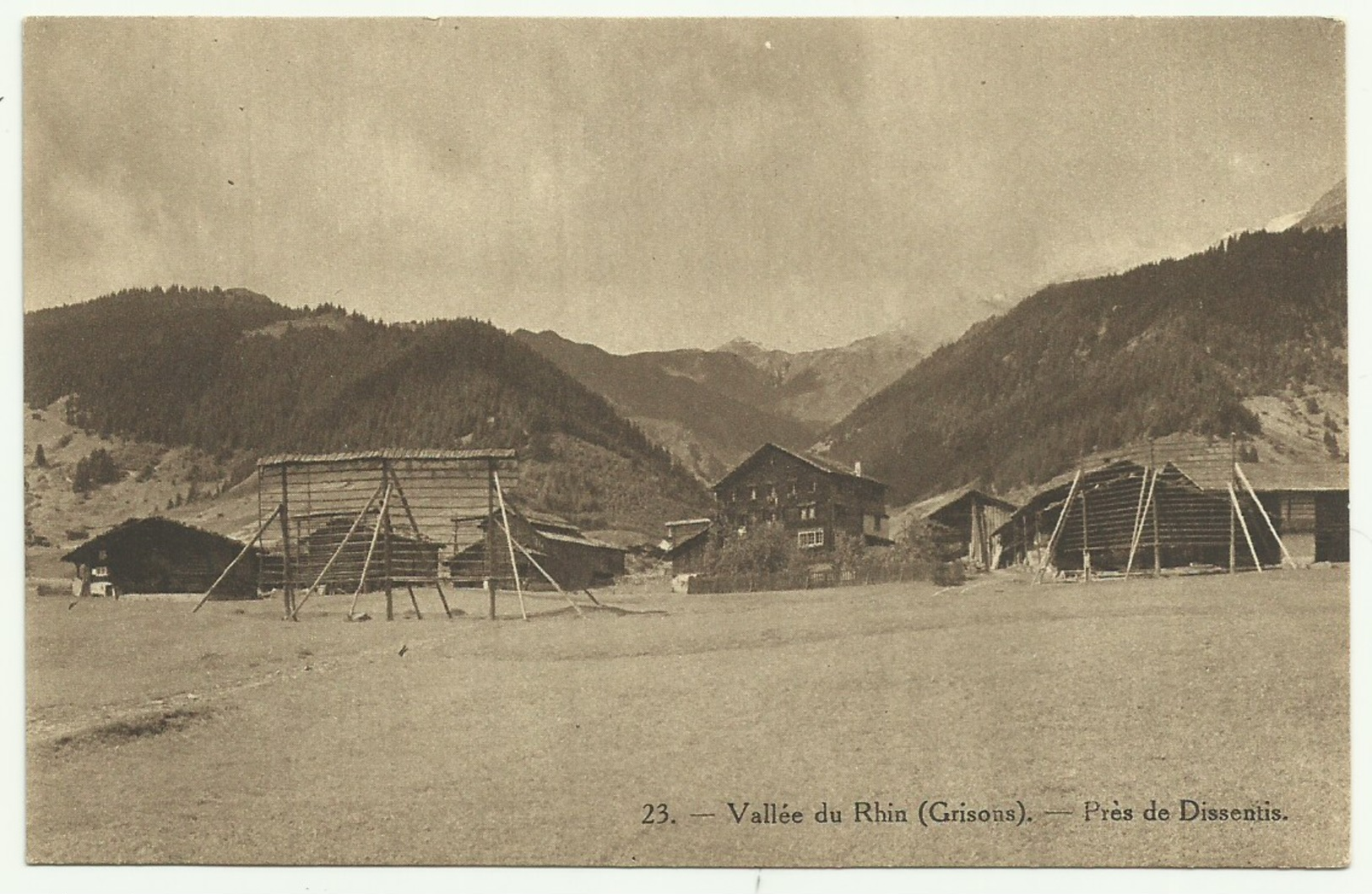 Belle Carte Sépia  SUISSE   23.  Vallée Du Rhin (Grisons) . Près De Dissenlis - Sonstige & Ohne Zuordnung