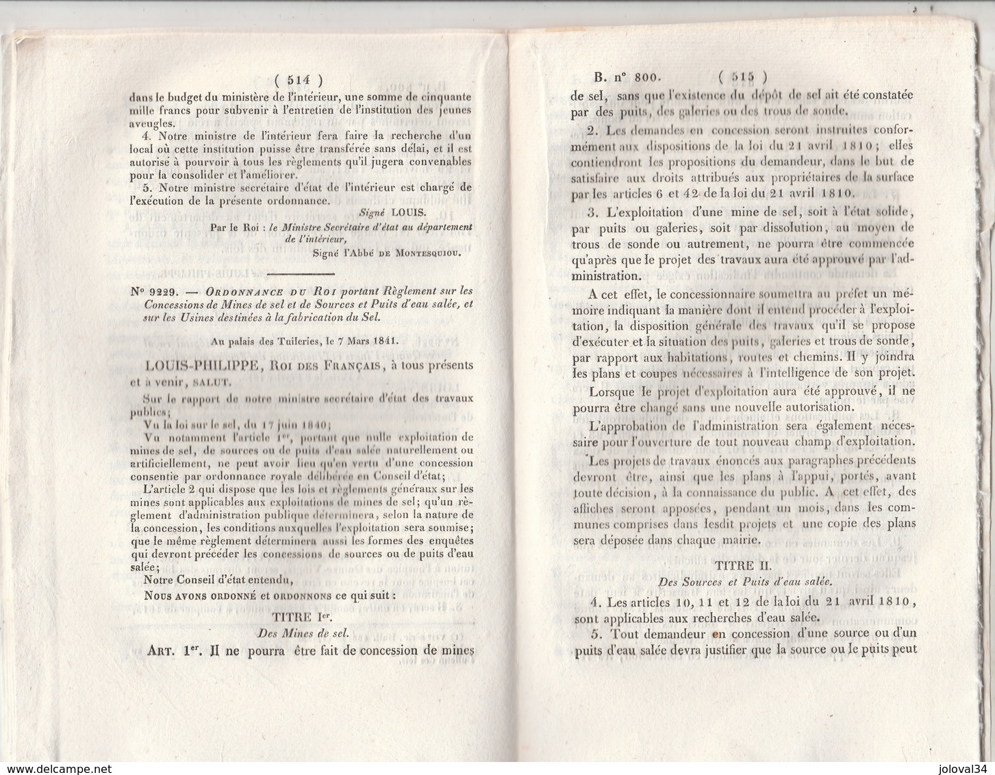 Bulletin Des Lois 800 De 1841 - Règlement Sur Les Concessions De Mines De Sel Et De Sources Et Puits D'eau Salée - Décrets & Lois