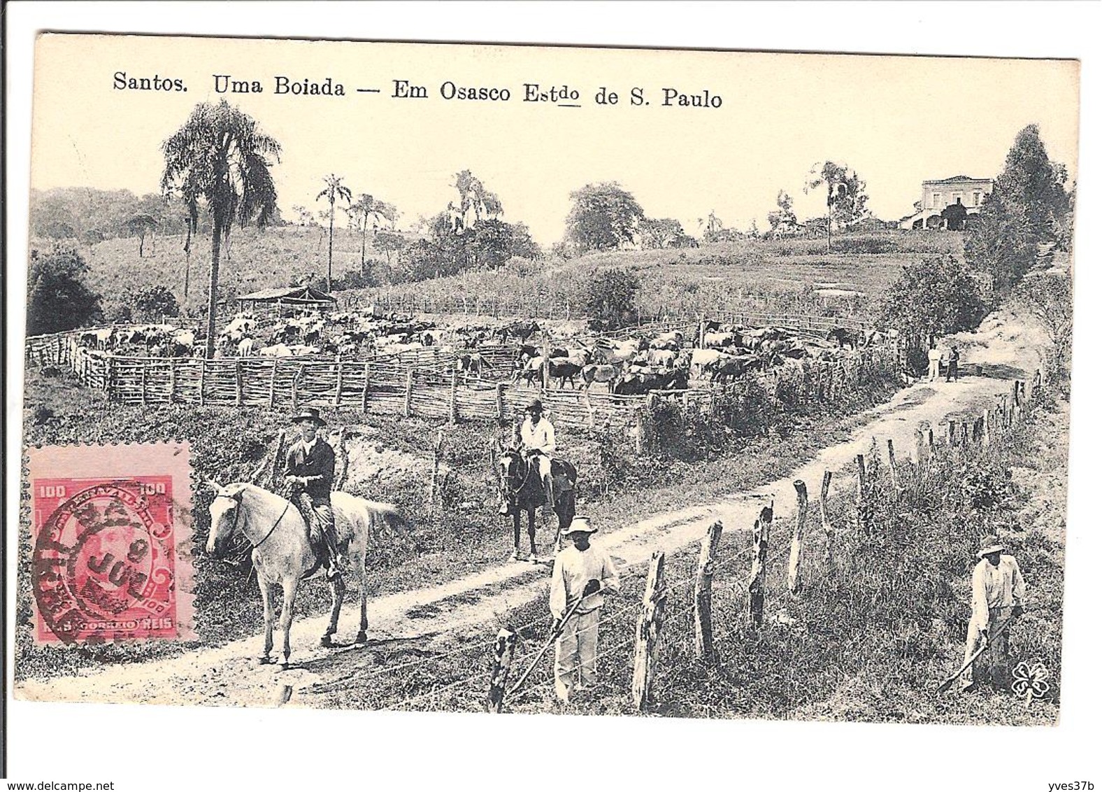 SANTOS - Uma Boiada - Em Osasco Estado De São Paulo - Autres