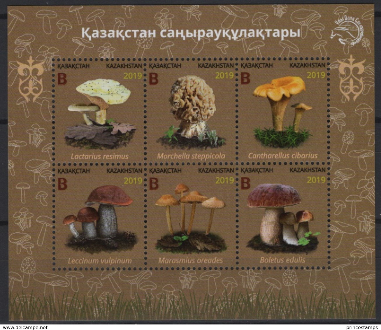 Kazakhstan (2019) - MS -  /  Setas - Pilze - Mushrooms - Champignons - Fungi - Cogumelos - Funghi - Mushrooms