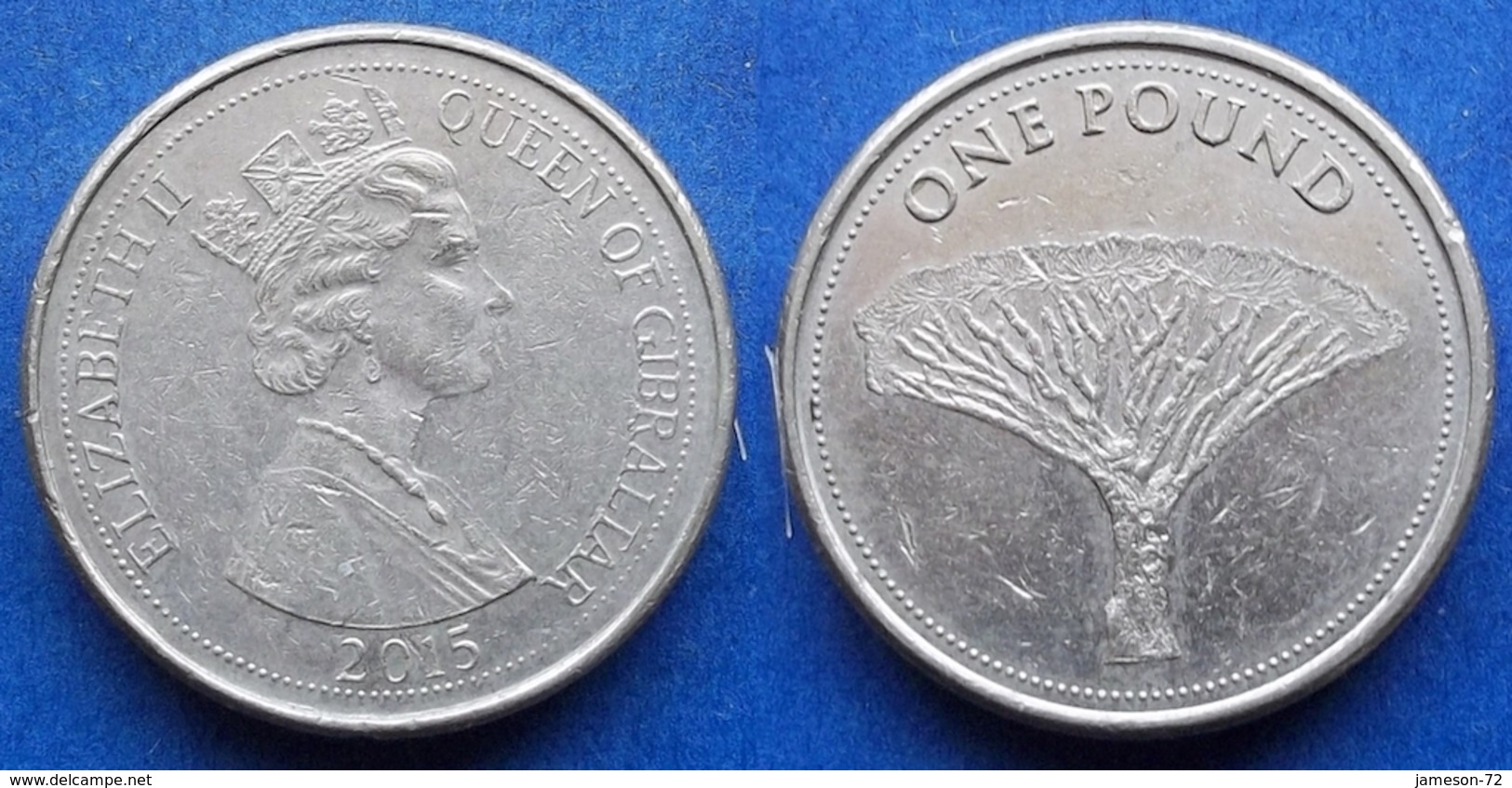 GIBRALTAR - 1 Pound 2015 "dragon Tree" - Edelweiss Coins - Gibraltar