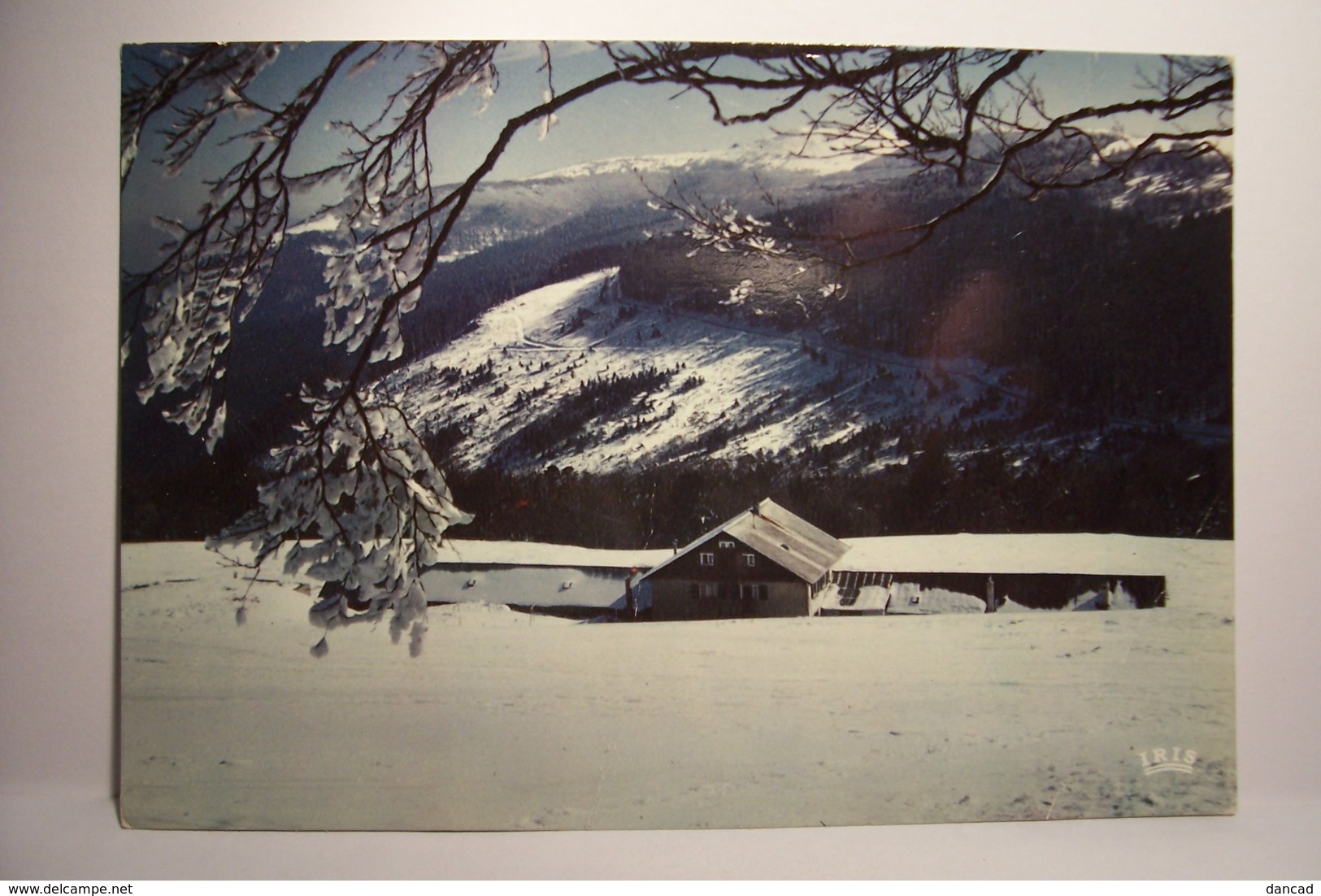 LAUTENBACH   -  FERME-AUBERGE   " STEILEBACH " - ( Pas De Reflet Sur L'original ) - Autres & Non Classés