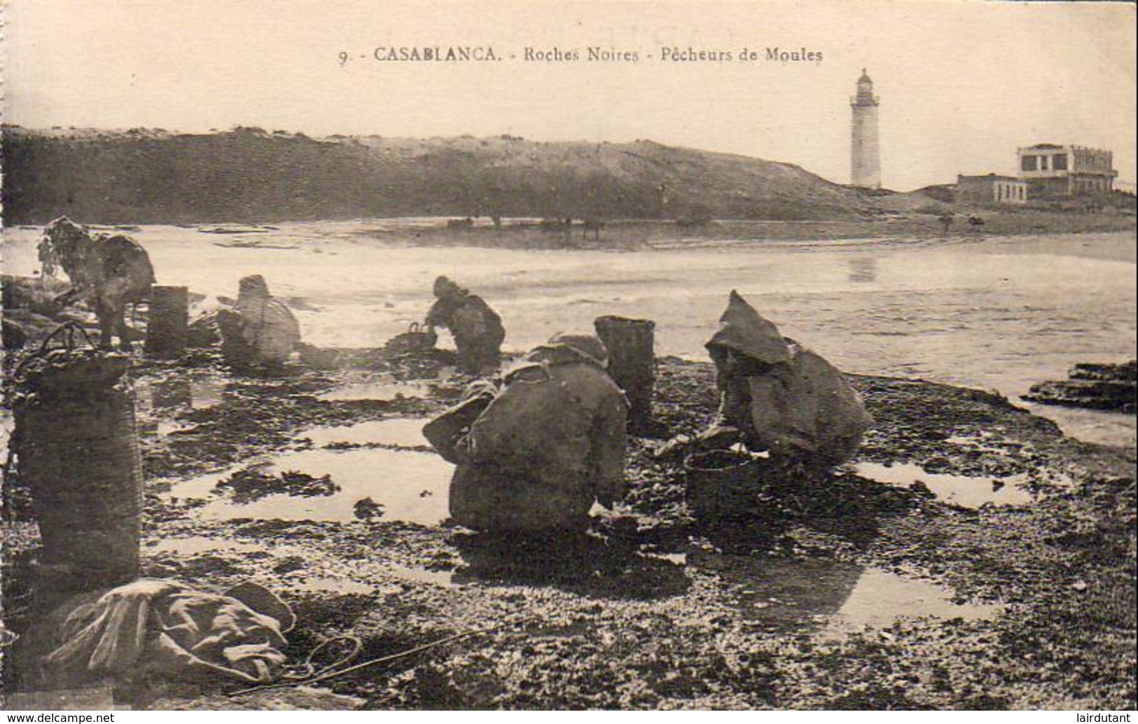 MAROC  CASABLANCA  Roches Noires- Pêcheurs De Moules  ..... - Casablanca