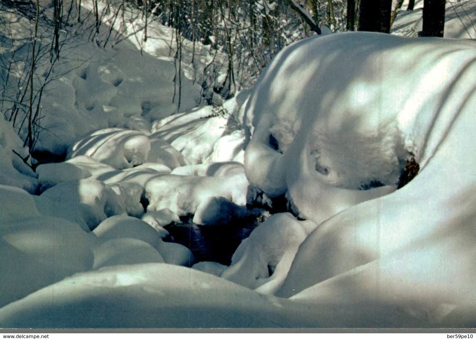 NEIGE ET SOLEIL LE TORRENT - Photos