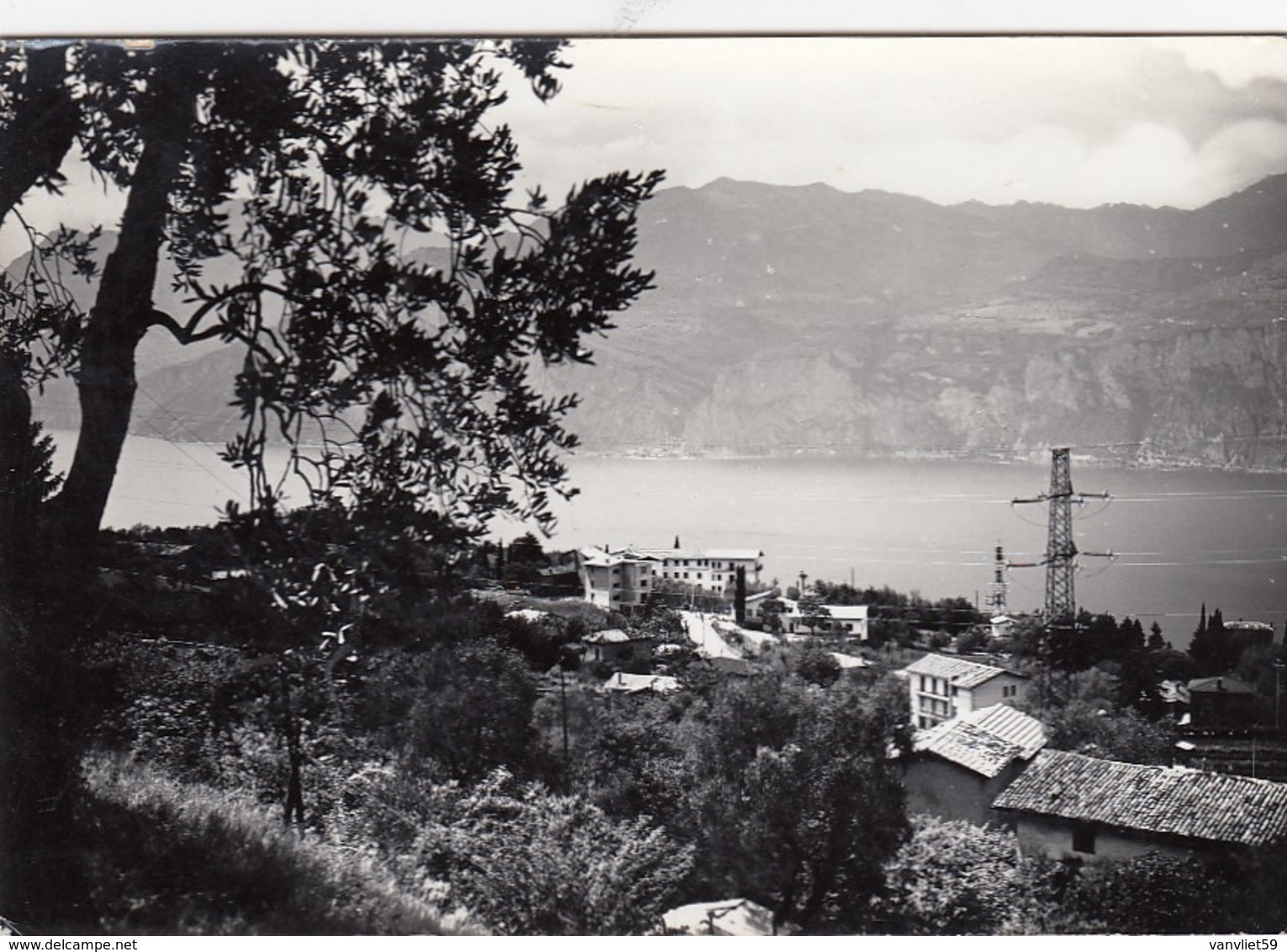 MALCESINE-VERONA-LAGO DI GARDA-VIGNE-CARTOLINA VERA FOTOGRAFIA VIAGGIATA IL 19-5-1965 - Verona