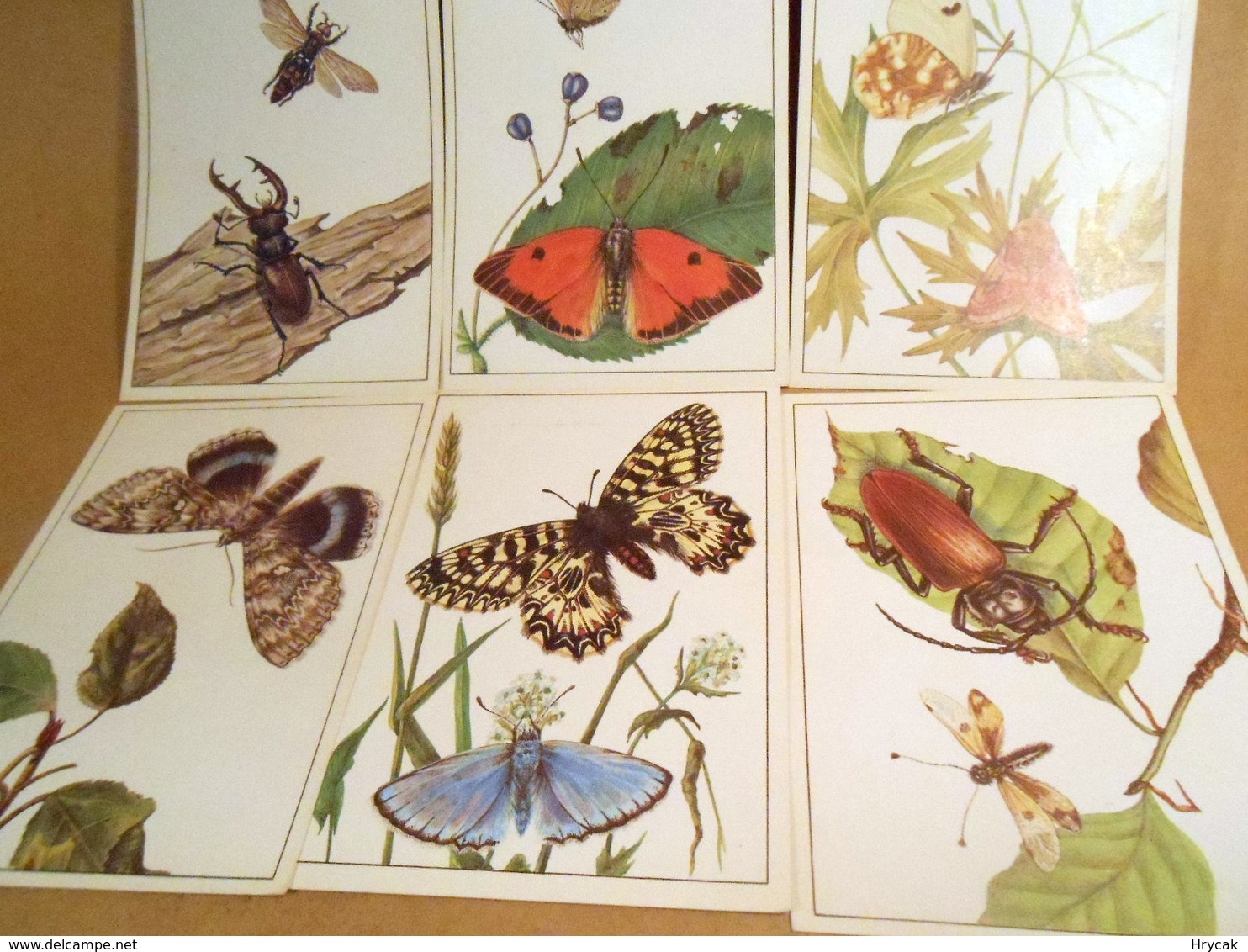 They Need To Be Rescued. Issue 4. A Set Of 16 Postcards. 1987 - Insectos