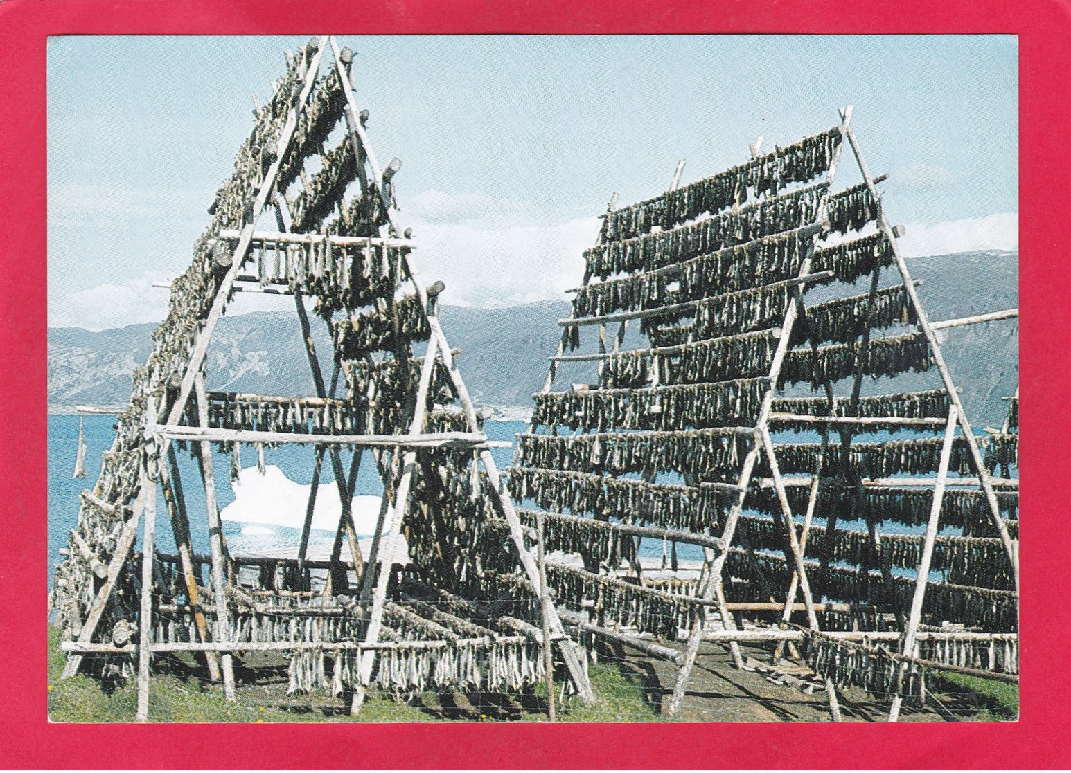 Modern Post Card Of Qassiarsuk,Kujalleq,Greenland.A52. - Groenlandia