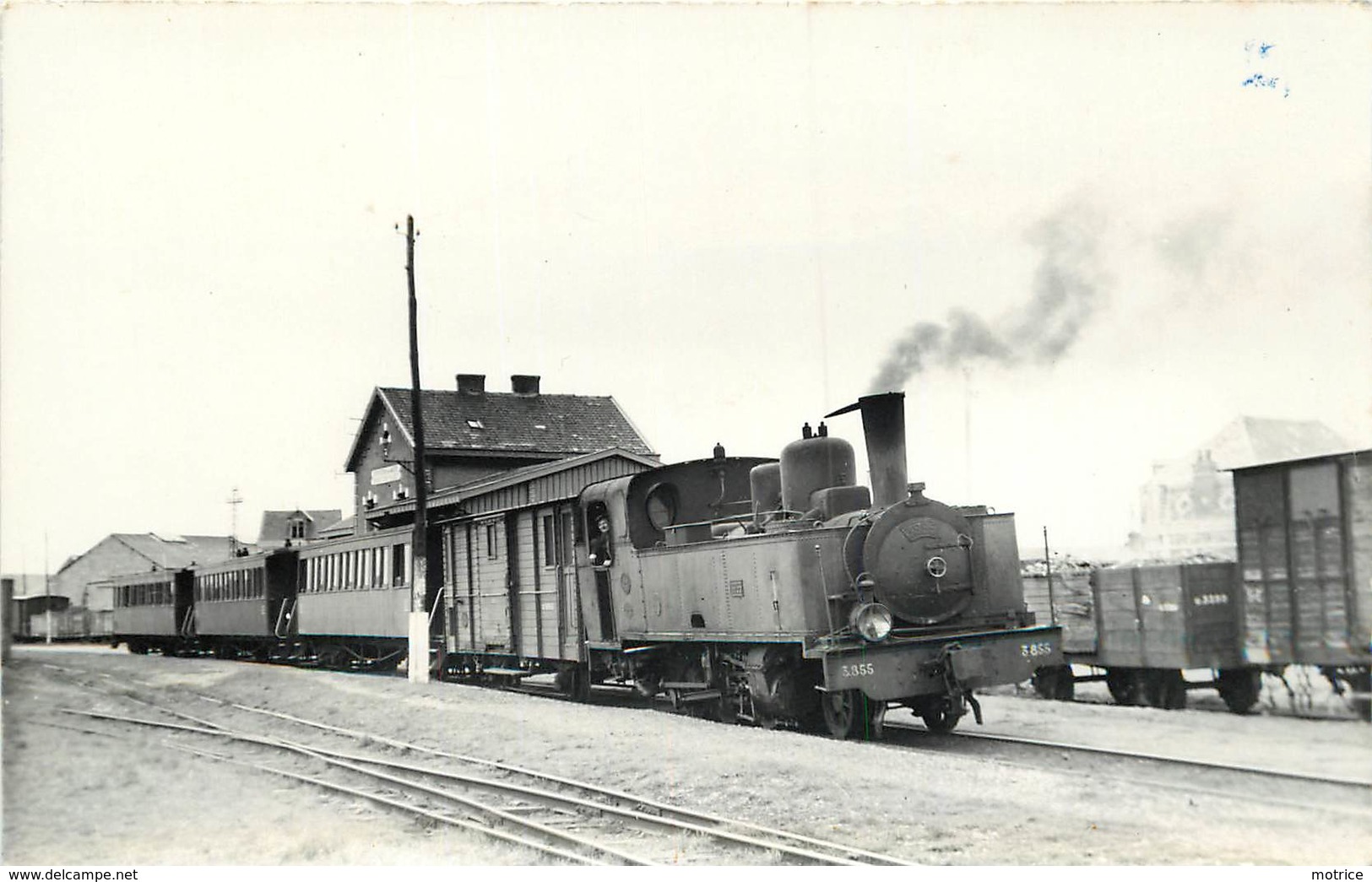 CHEMINS DE FER DE LA SOMME - Gare De Cayeux,locomotive N°3855, Carte Photo Laurent En 1952. - Trains