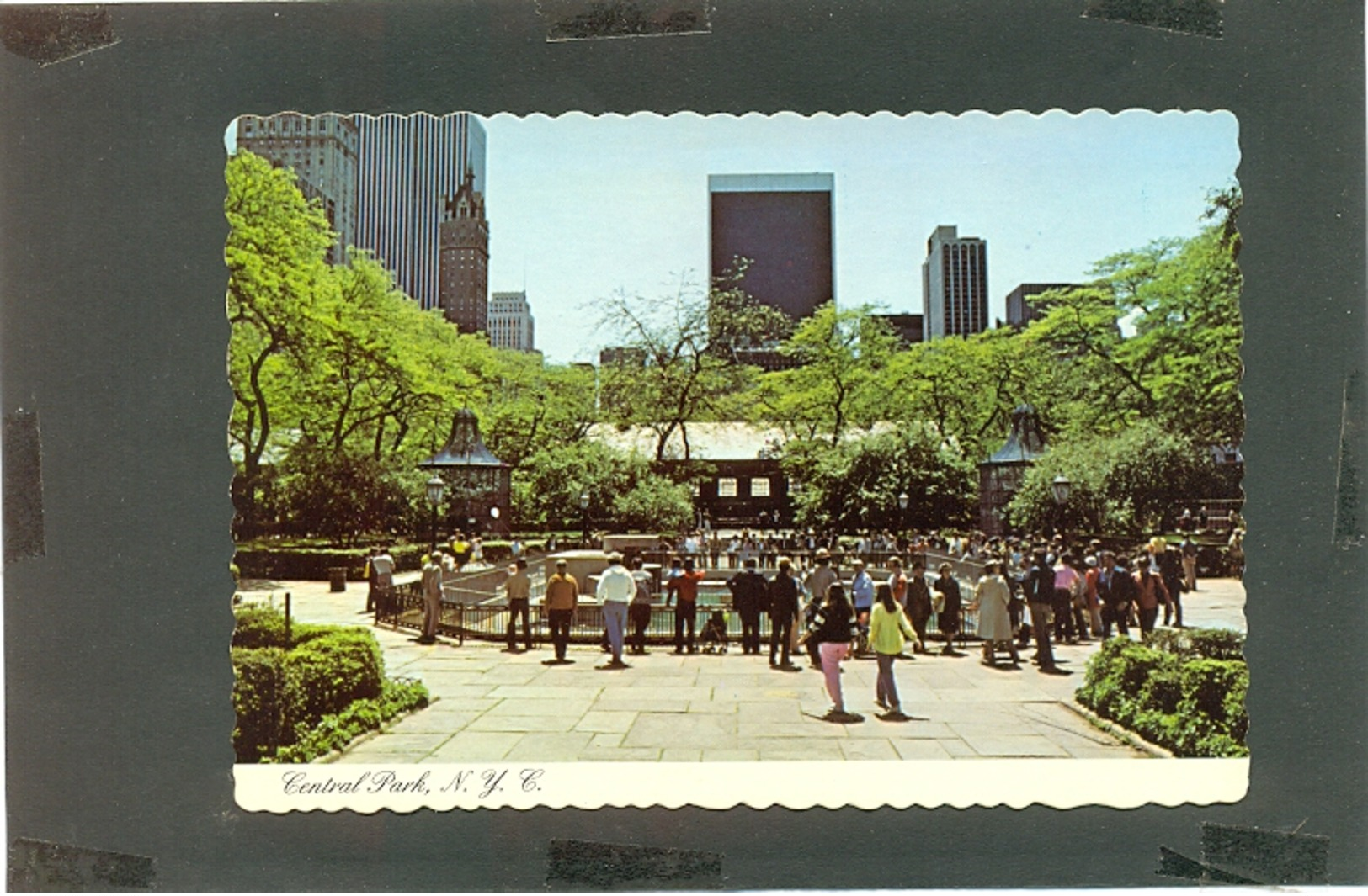 USA NY POSTCARD 26561 CENTRAL PARK ZOO SOCIETY MANHATTAN BUILDING PEOPLE - Other & Unclassified