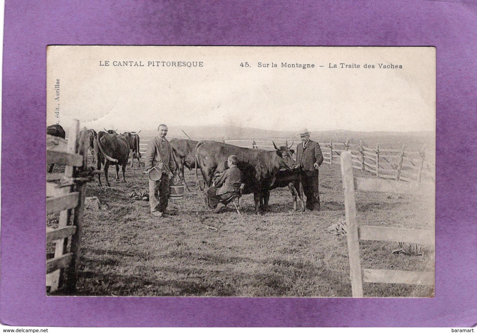 15 LE CANTAL PITTORESQUE  Sur La Montagne La Traite Des Vaches - Paysans