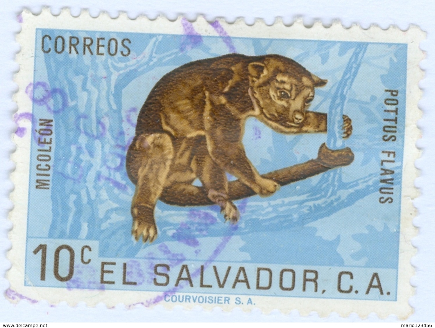 EL SALVADOR, FAUNA, ANIMALI, KINKAJOU, 1963, 10 C., FRANCOBOLLO USATO   Mi:SV 861, Scott:SV 743, Sg:SV 1185 - Benin – Dahomey (1960-...)